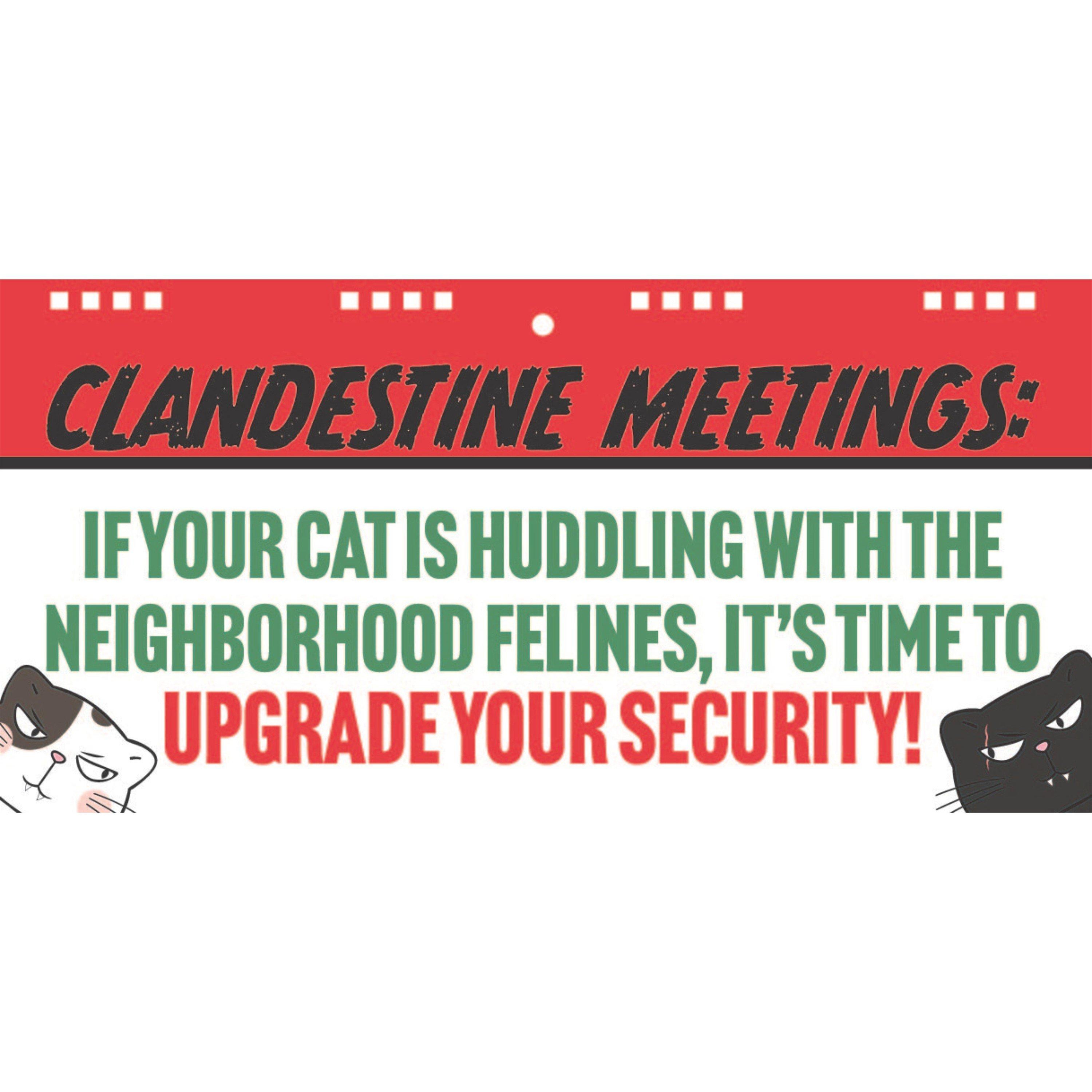 Multi - Boxer Gifts - 50 Ways Your Cat Is Trying To Kill You Flipbook - 4