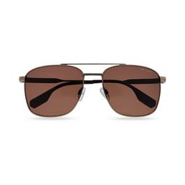 Ted Baker Chase Sunglasses