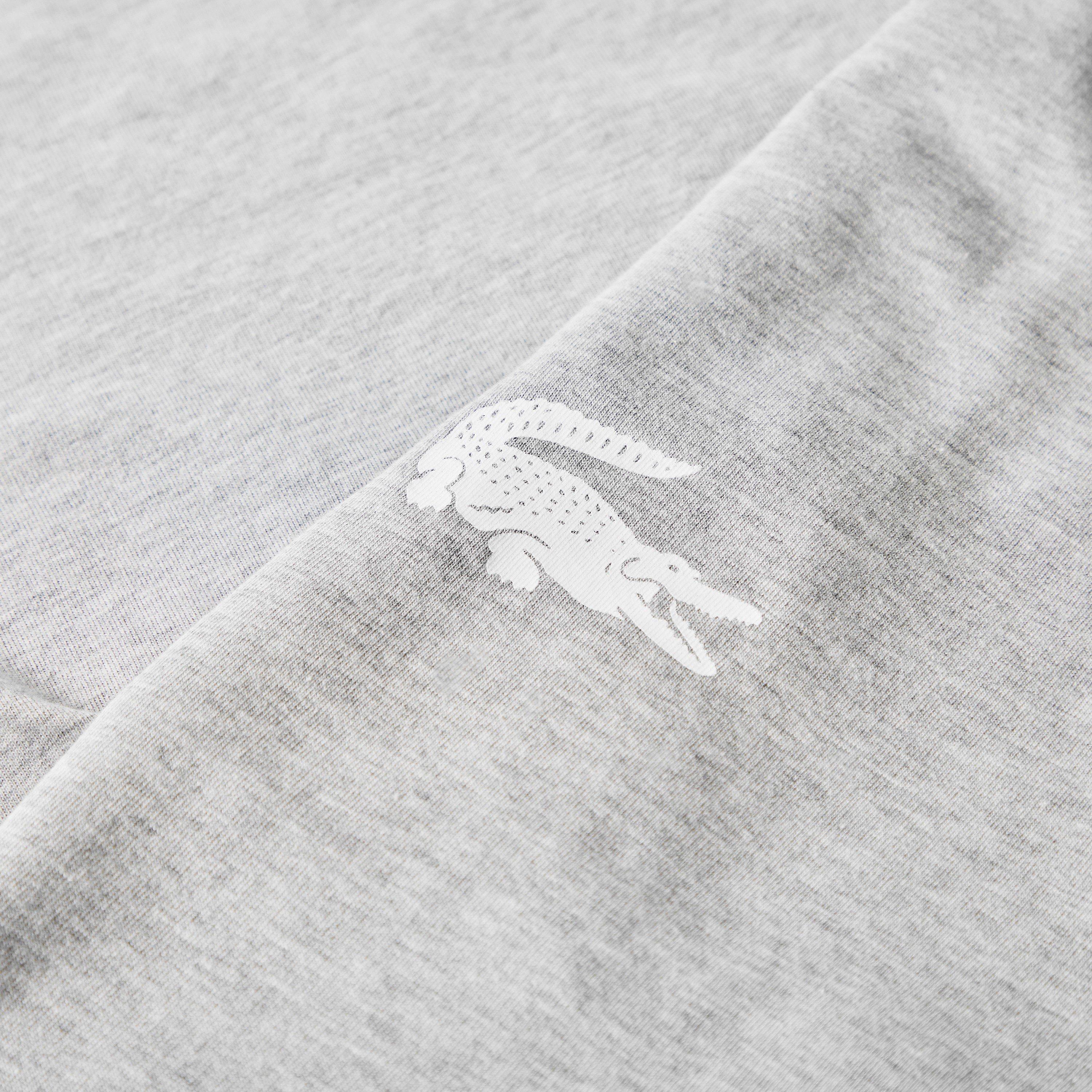 Grey MTG - Lacoste - Lacoste Smll CrocJog Sn64 - 5