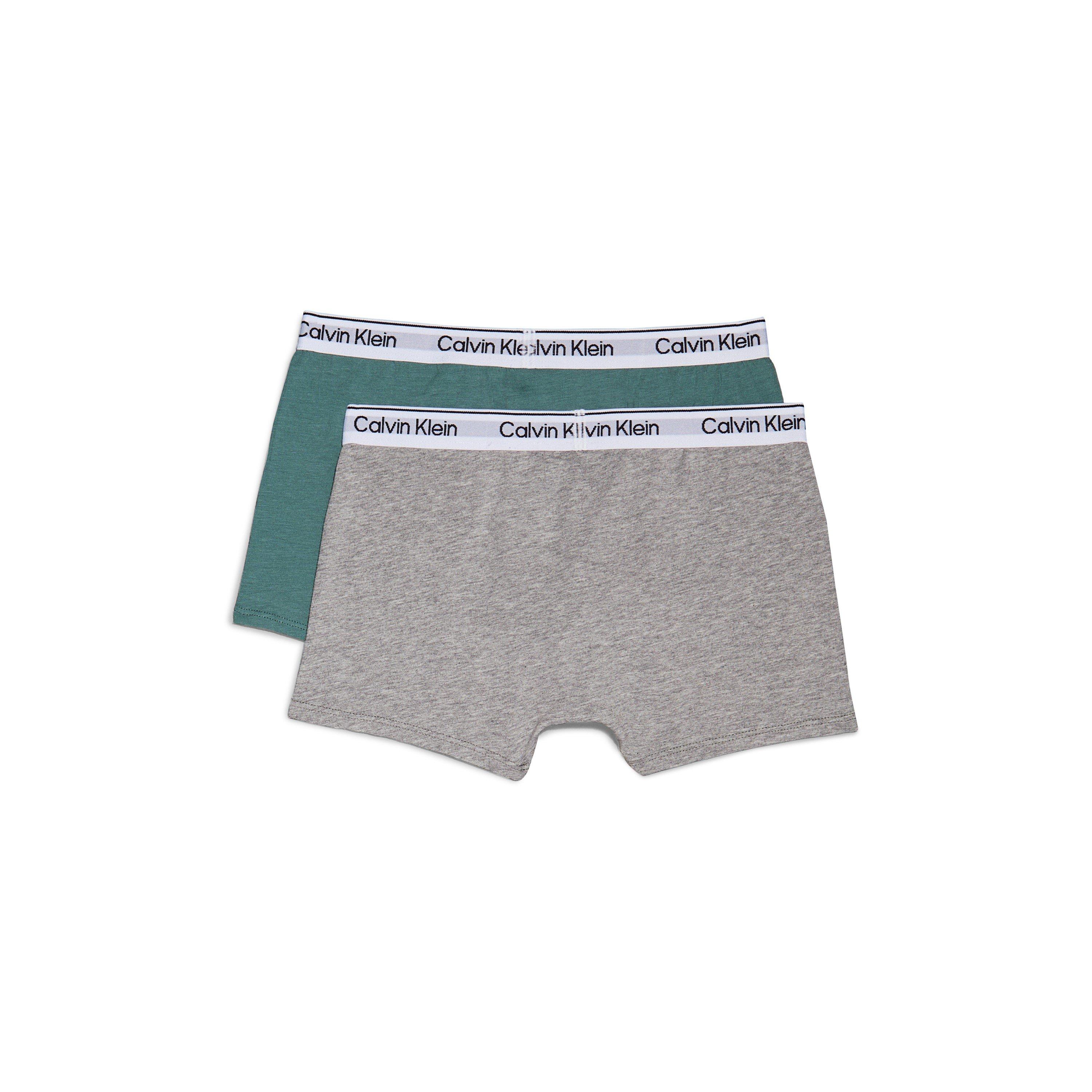 Gry/Blu 0UD - Calvin Klein - 2 Pack Trunks Junior - 2