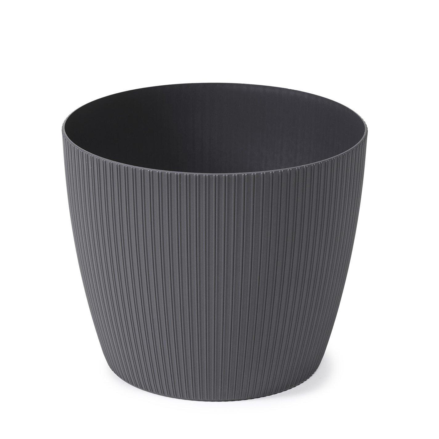 Multi - YouGarden - Chamaedorea elegans & Cover Pot - 4