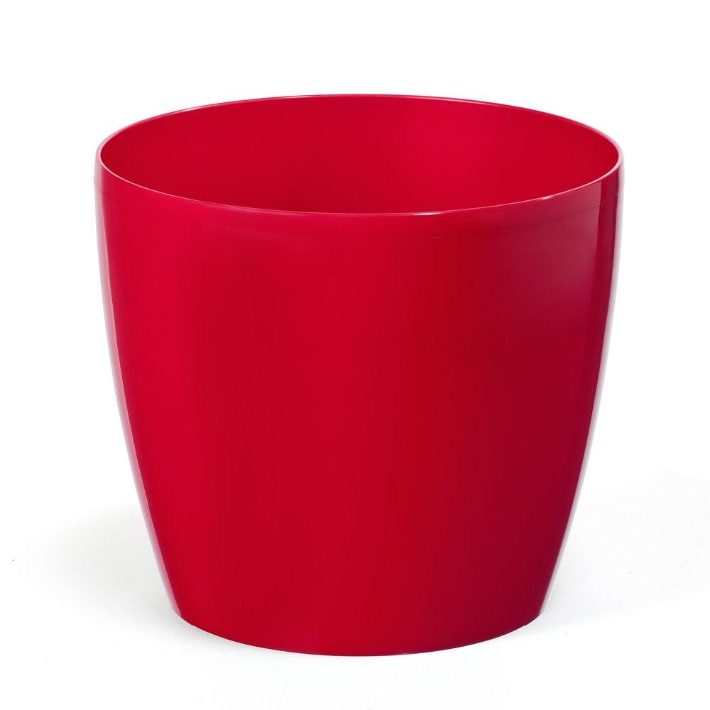 Multi - YouGarden - Spathiphyllum Sweet Silver & Cover Pot - 3