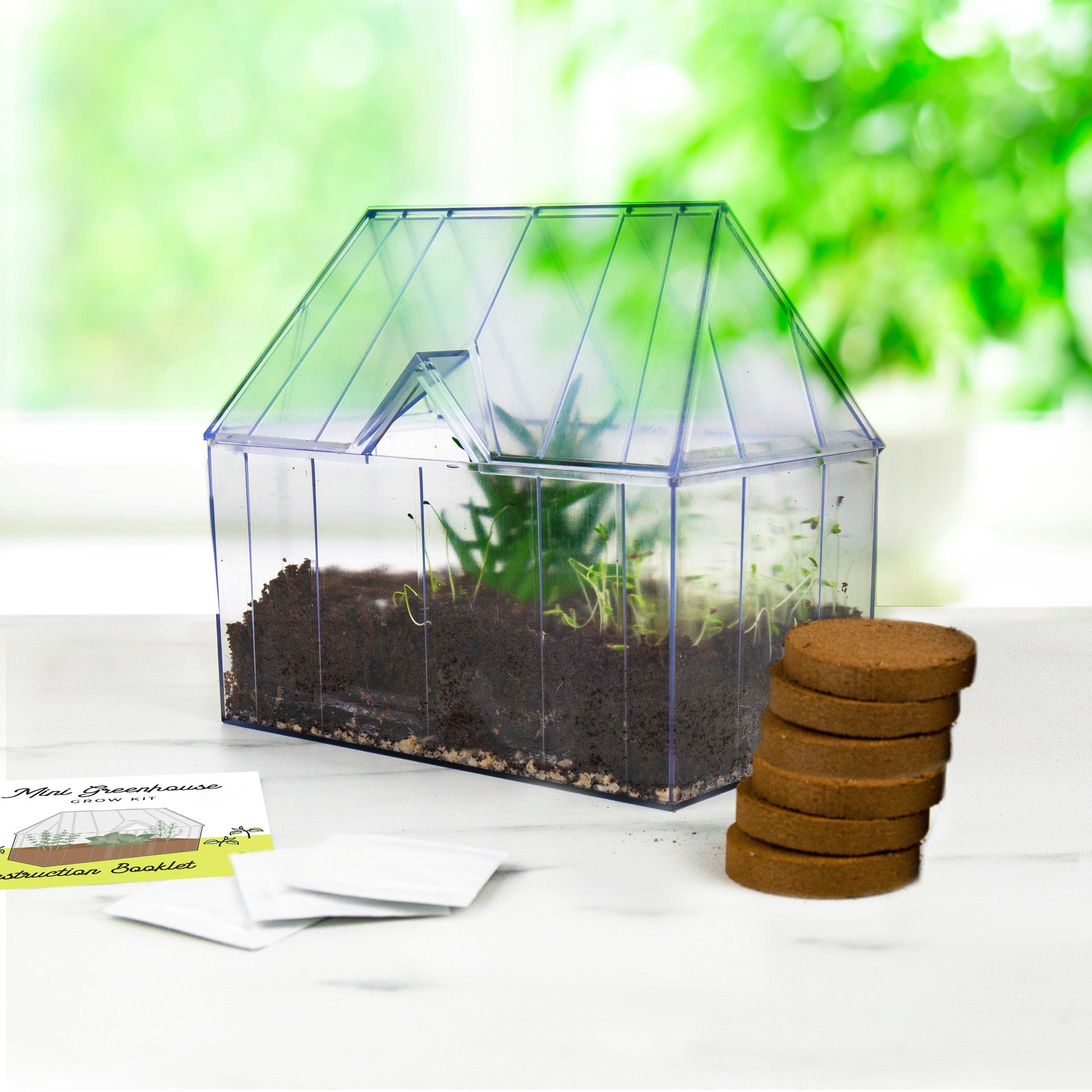 White - Gift Republic - MINI GREENHOUSE GROW
KIT - 1