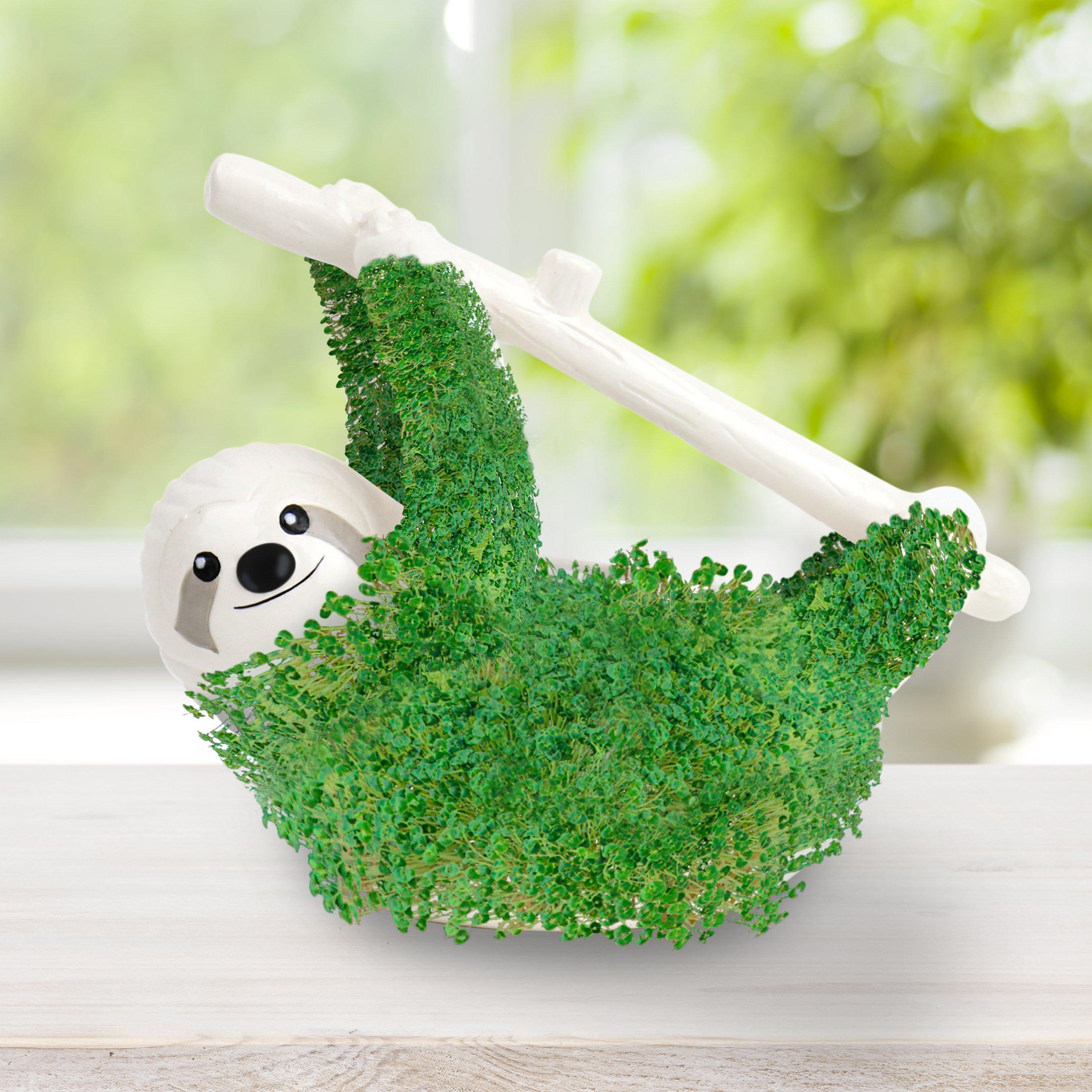 Gift Republic  Sloth Planter Grow Your Own Chia Pet - White