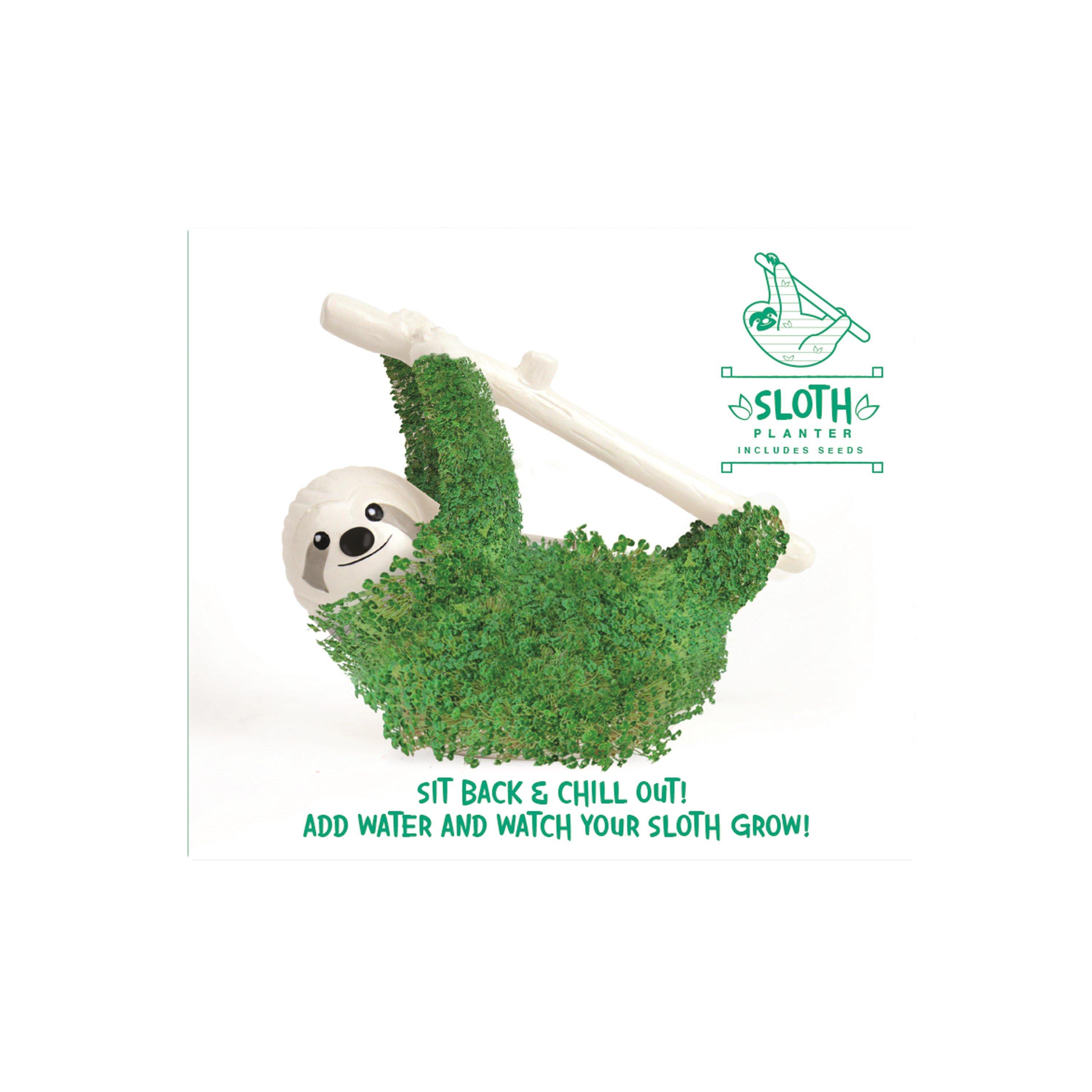 White - Gift Republic - SLOTH PLANTER GROW YOUR OWN CHIA PET - 2