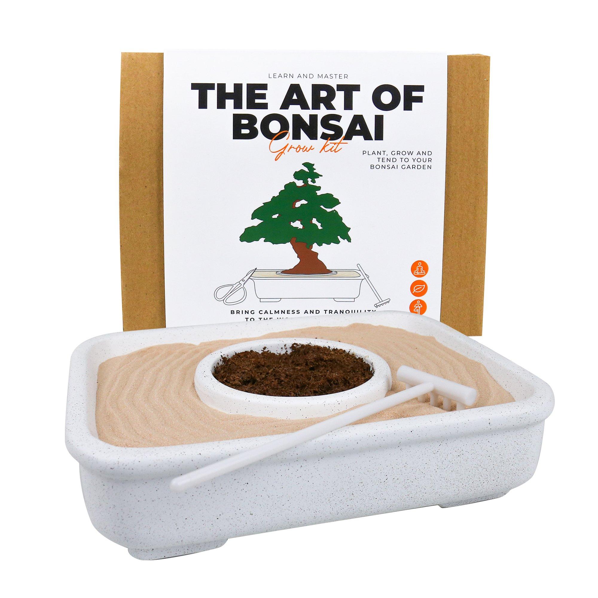 White - Gift Republic - THE ART OF BONSAI GROW KIT - 4