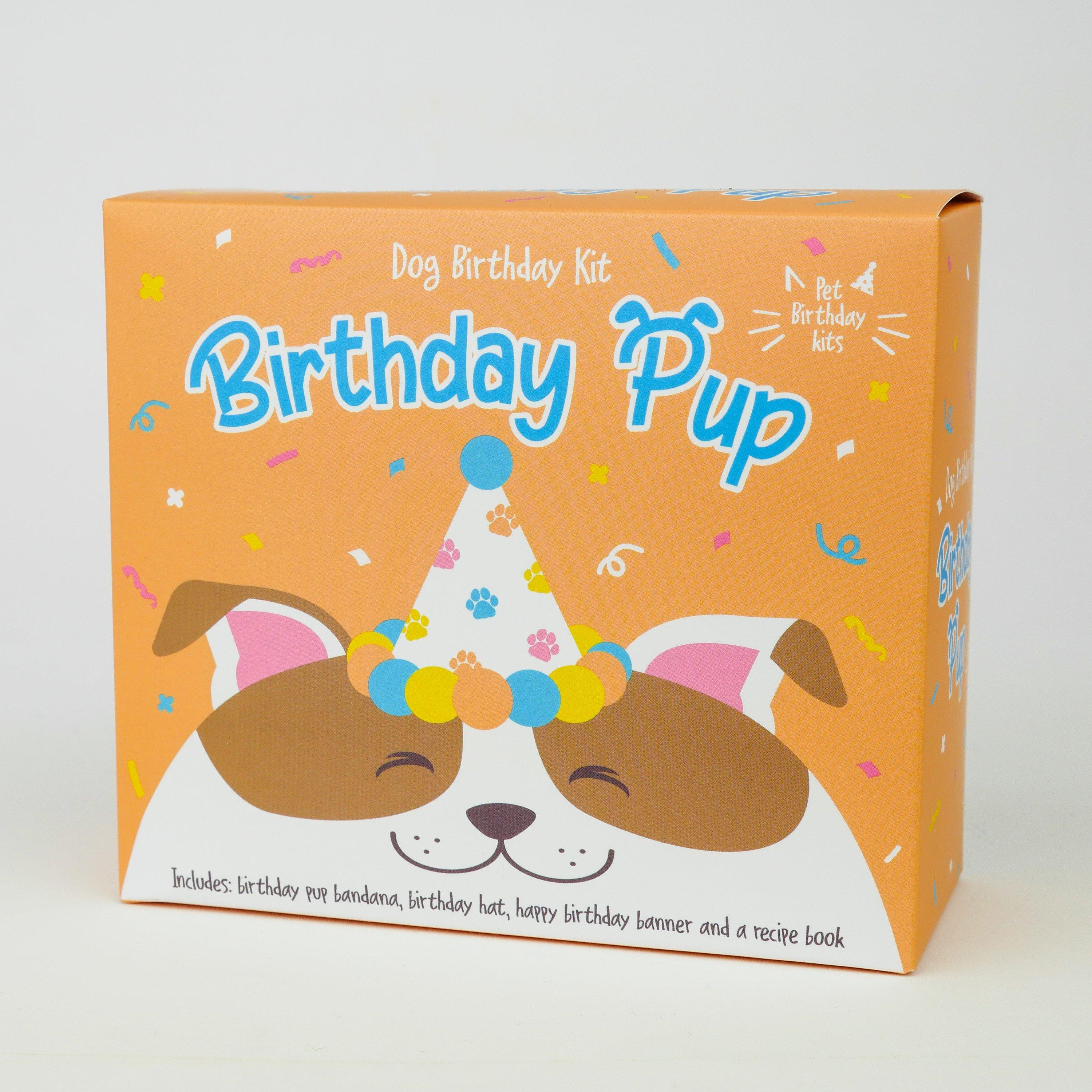 Orange - Gift Republic - BIRTHDAY PUP - 1