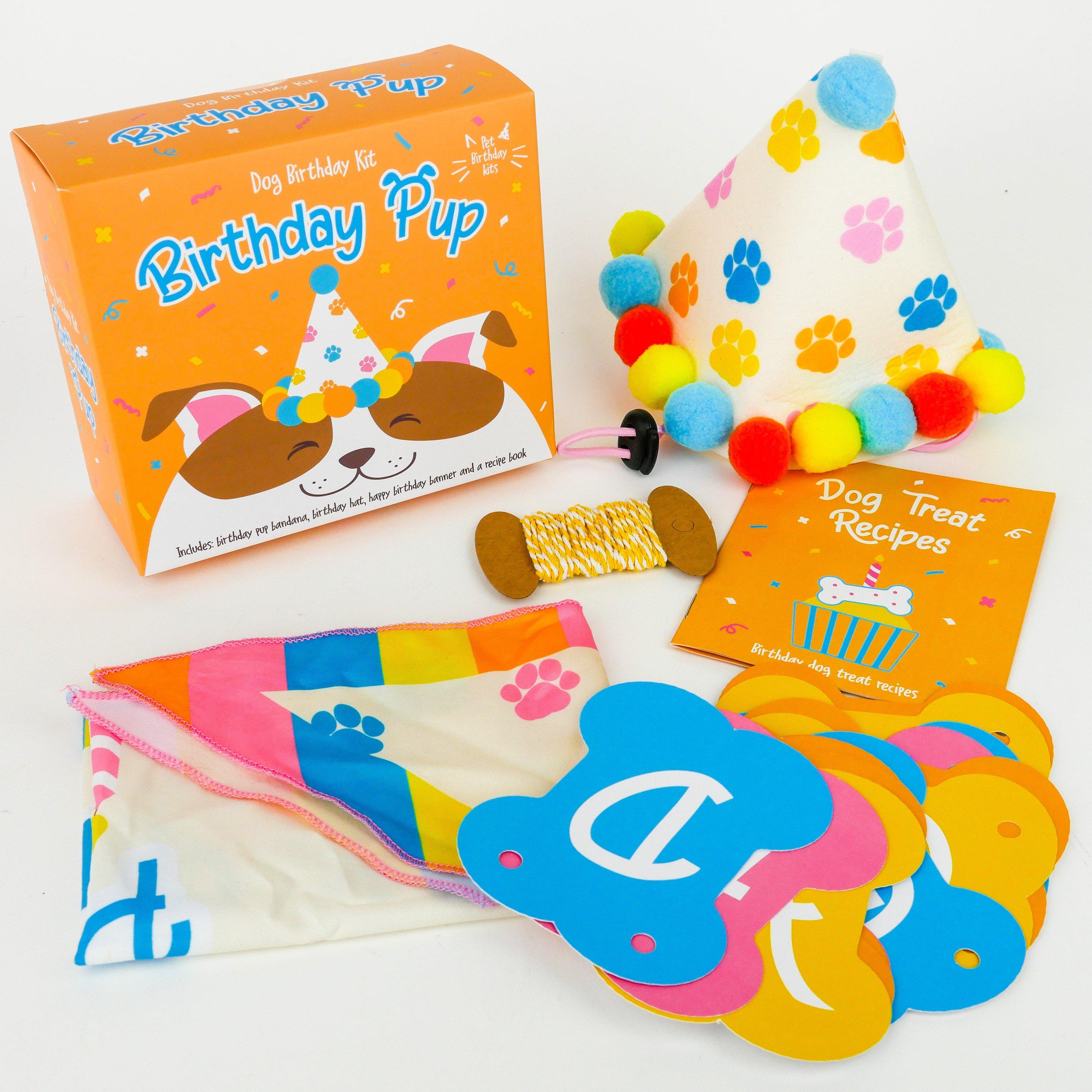 Orange - Gift Republic - BIRTHDAY PUP - 2