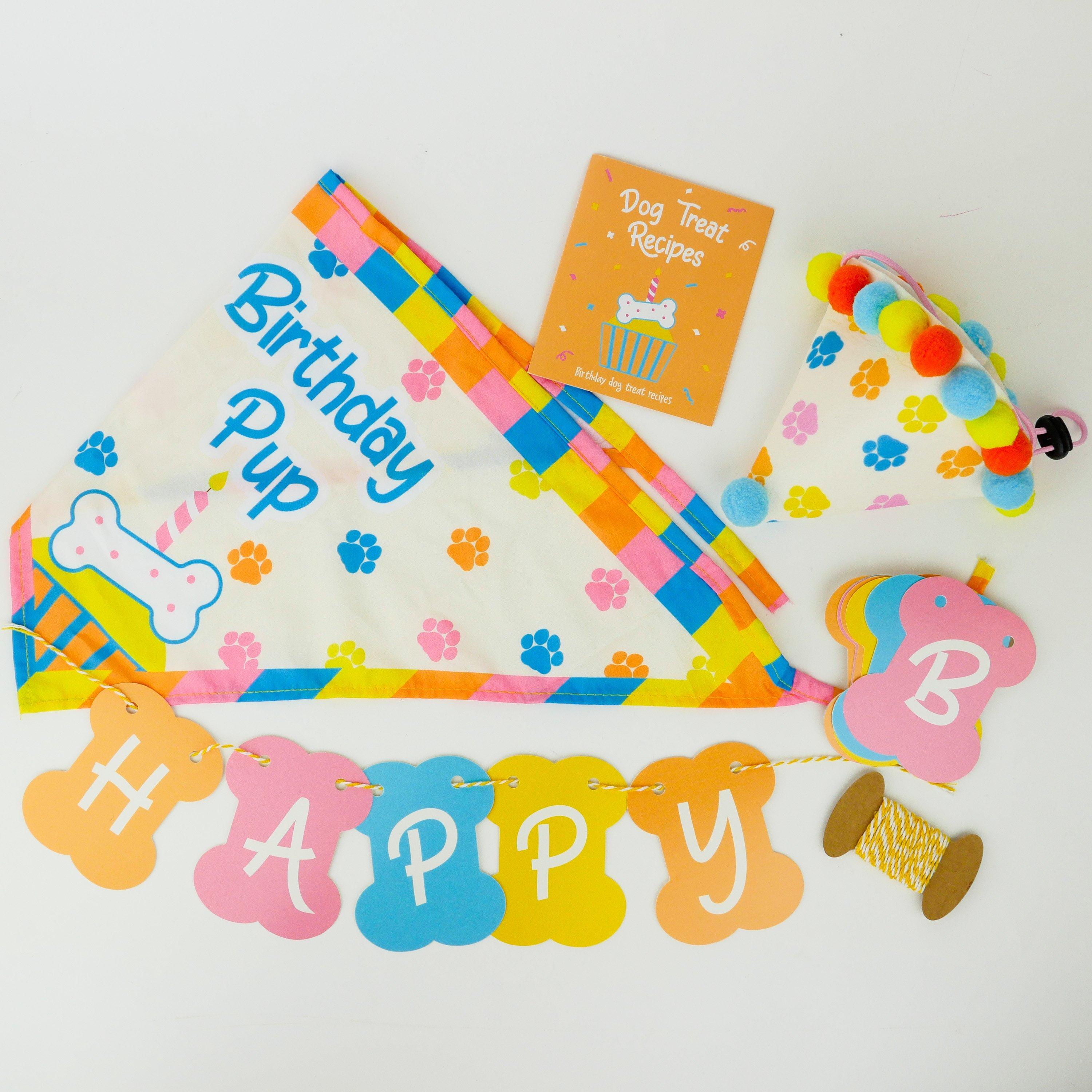 Orange - Gift Republic - BIRTHDAY PUP - 3