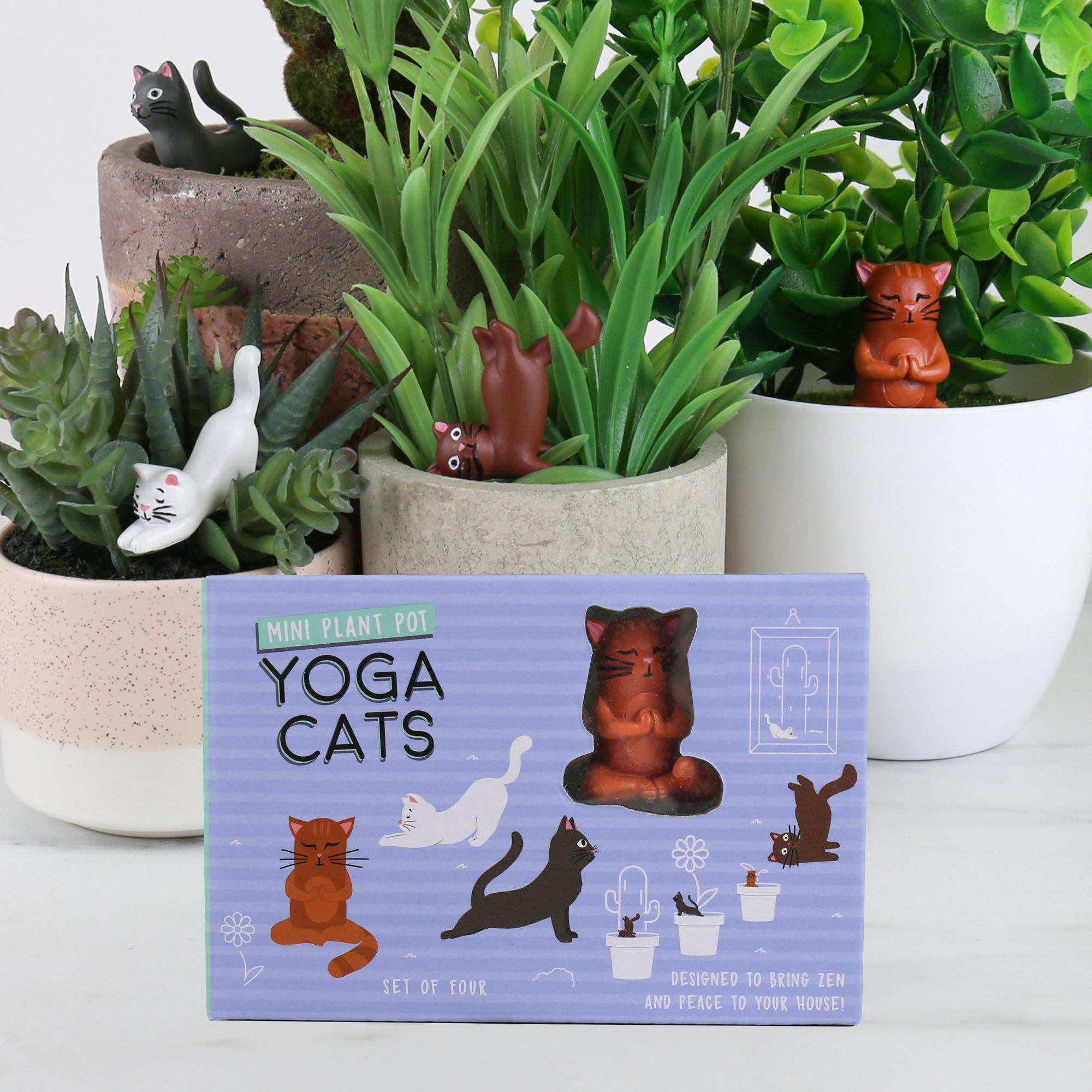Gift Republic  Mini Plant Pot Yoga Cats - Purple