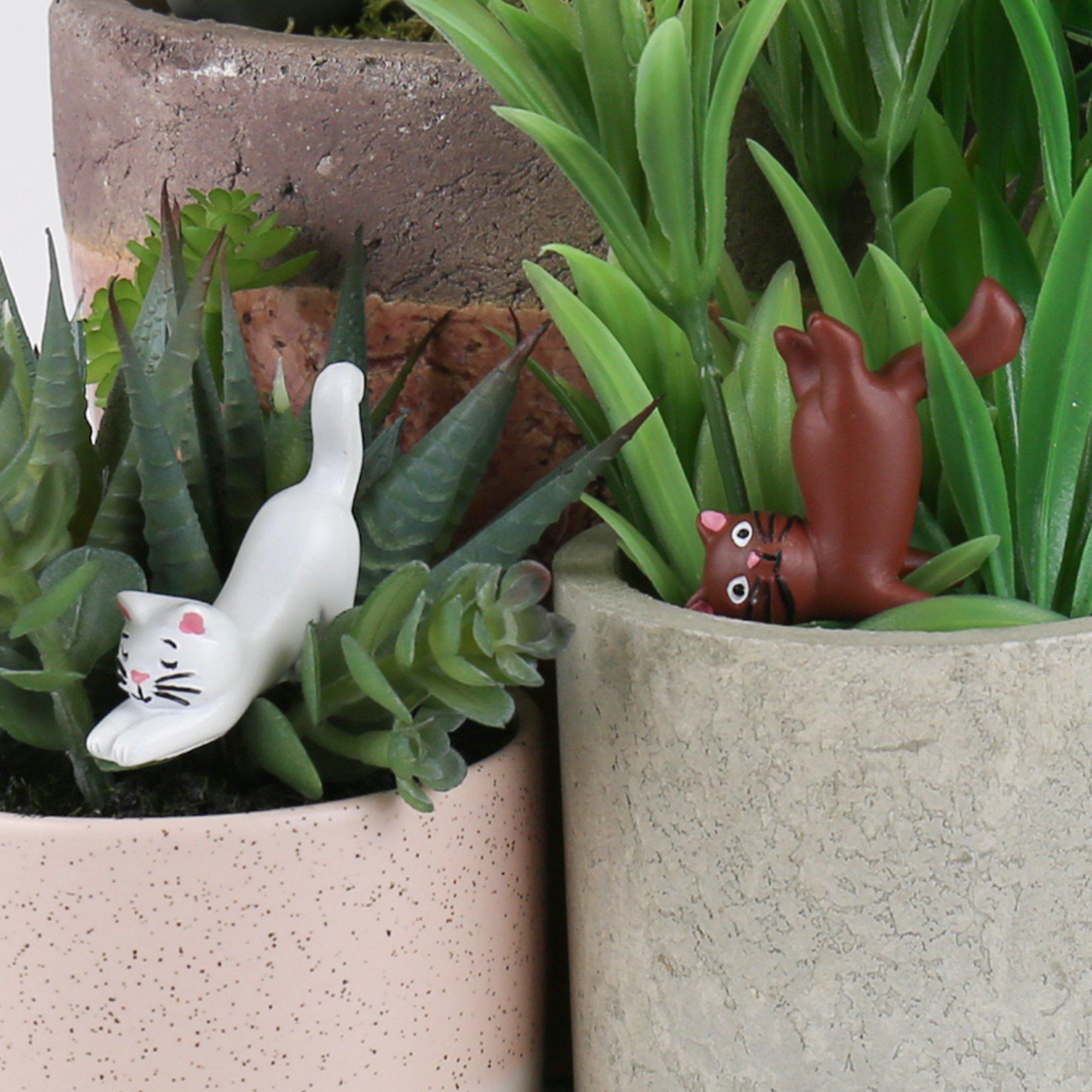 Purple - Gift Republic - MINI PLANT POT YOGA CATS - 2