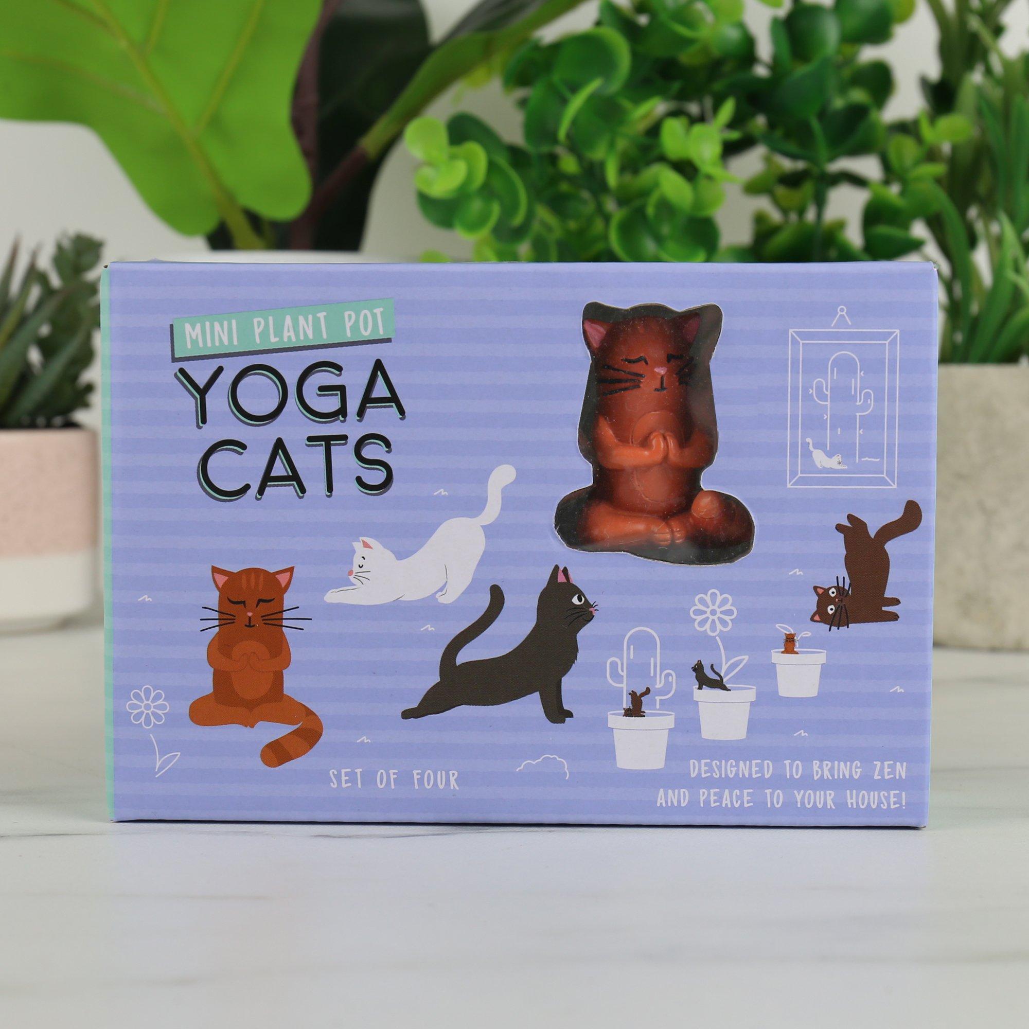 Purple - Gift Republic - MINI PLANT POT YOGA CATS - 4