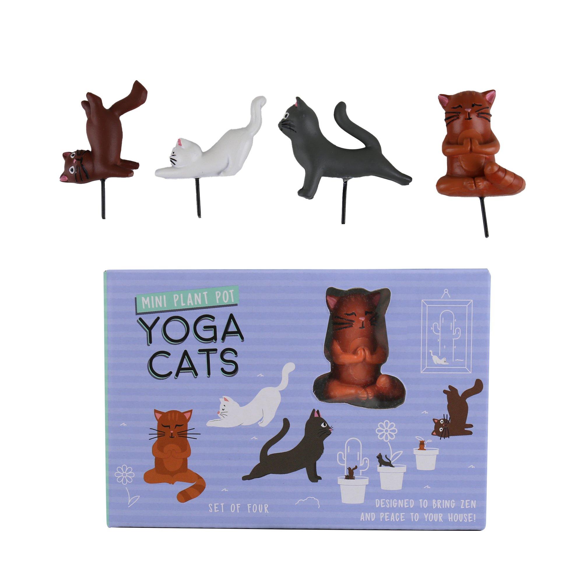 Purple - Gift Republic - MINI PLANT POT YOGA CATS - 5