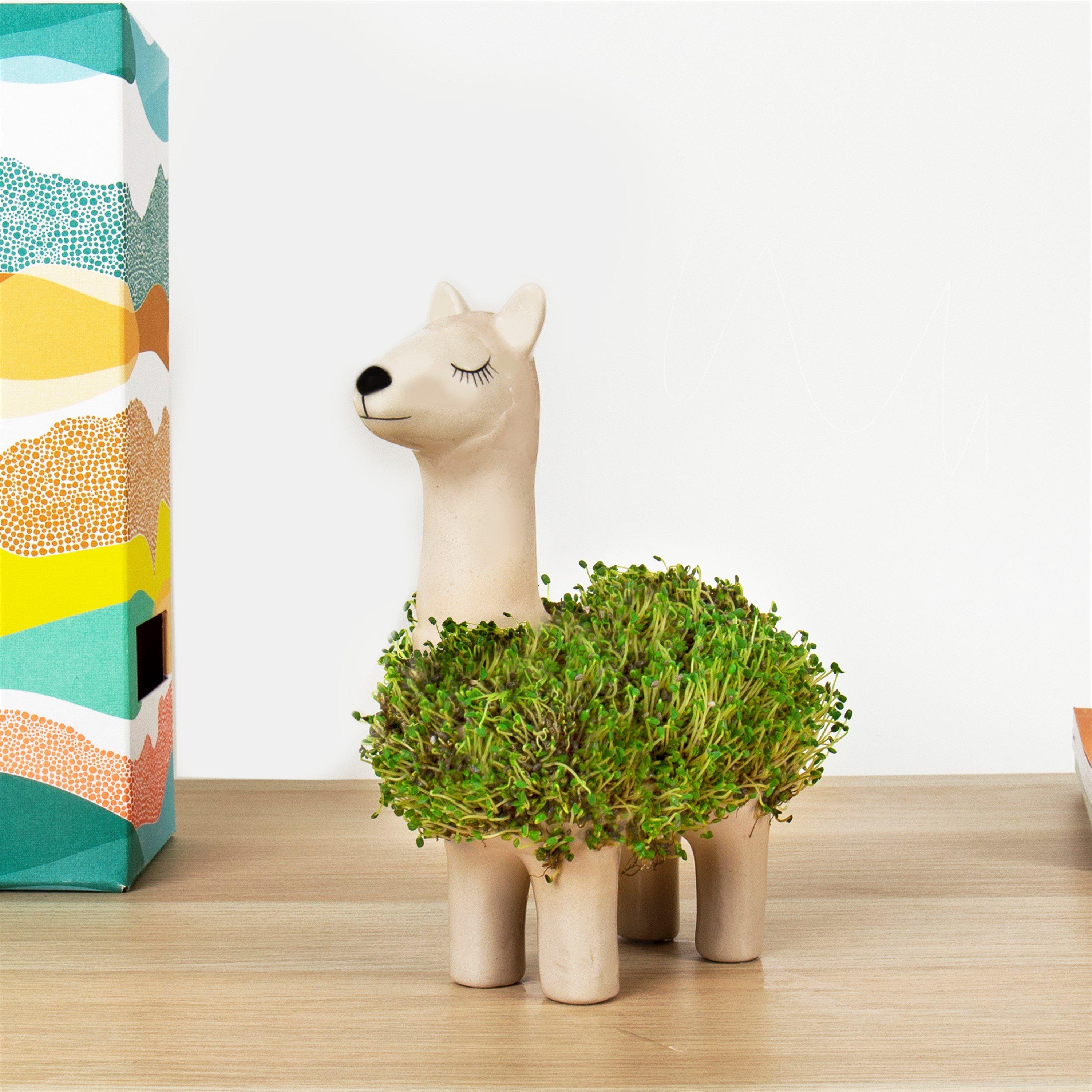 White - Gift Republic - LLAMA PLANTER GROW YOUR OWN CHIA PET - 1