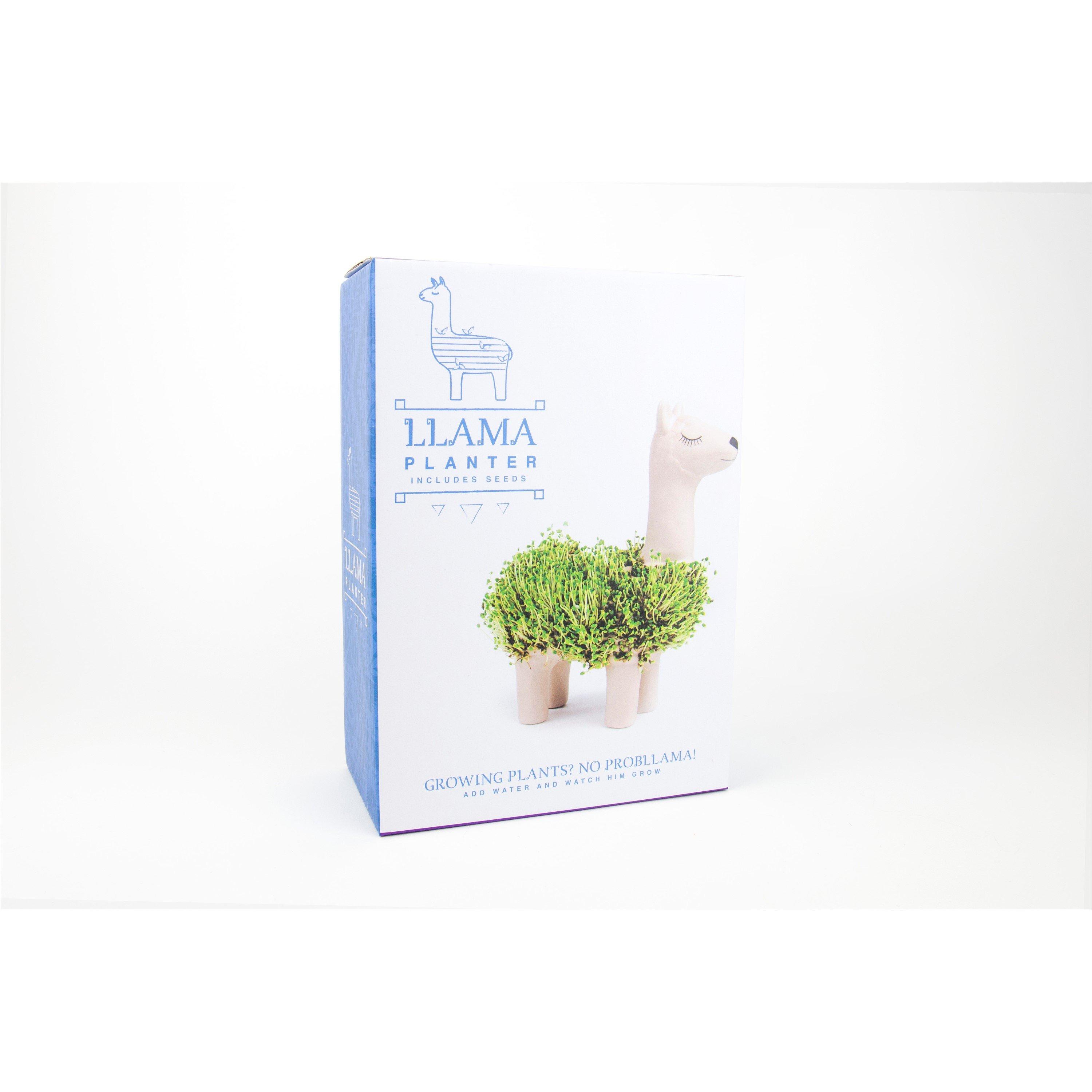 White - Gift Republic - LLAMA PLANTER GROW YOUR OWN CHIA PET - 2