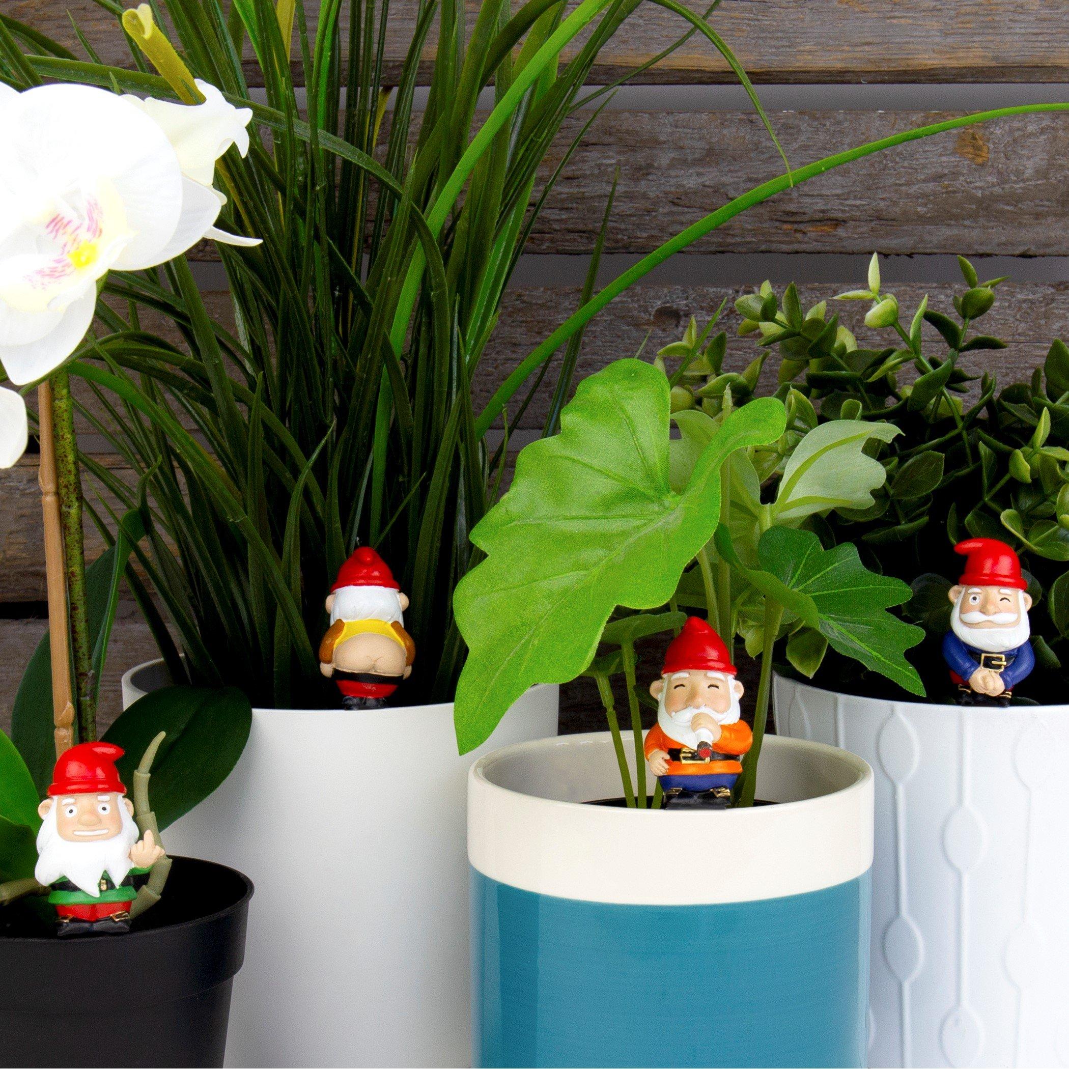 Gift Republic  Mini Plant Pot Naughty Gnomes - Black