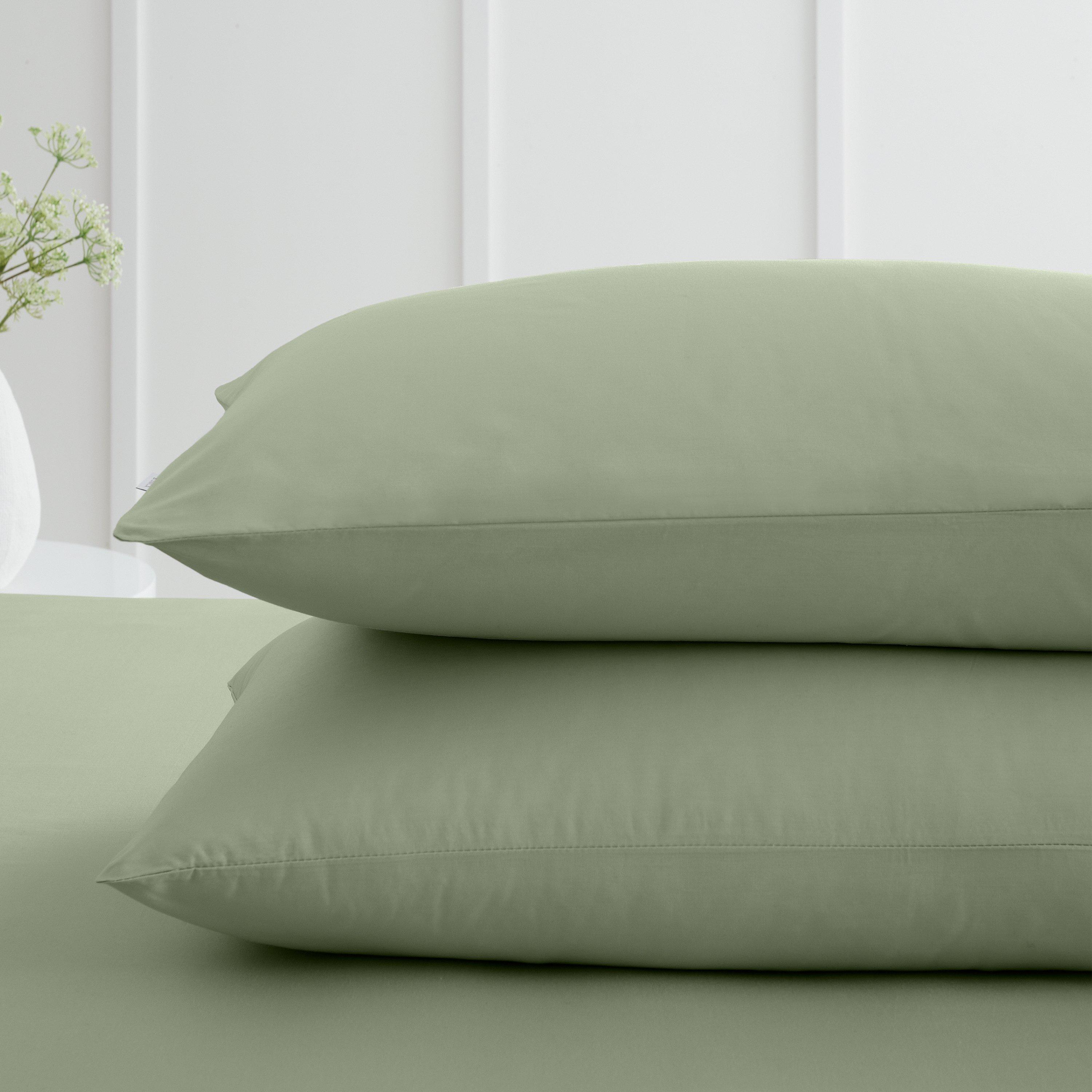 Sage Green - Bianca - 200 TC Cotton Percale Standard Pillowcase Pair - 2
