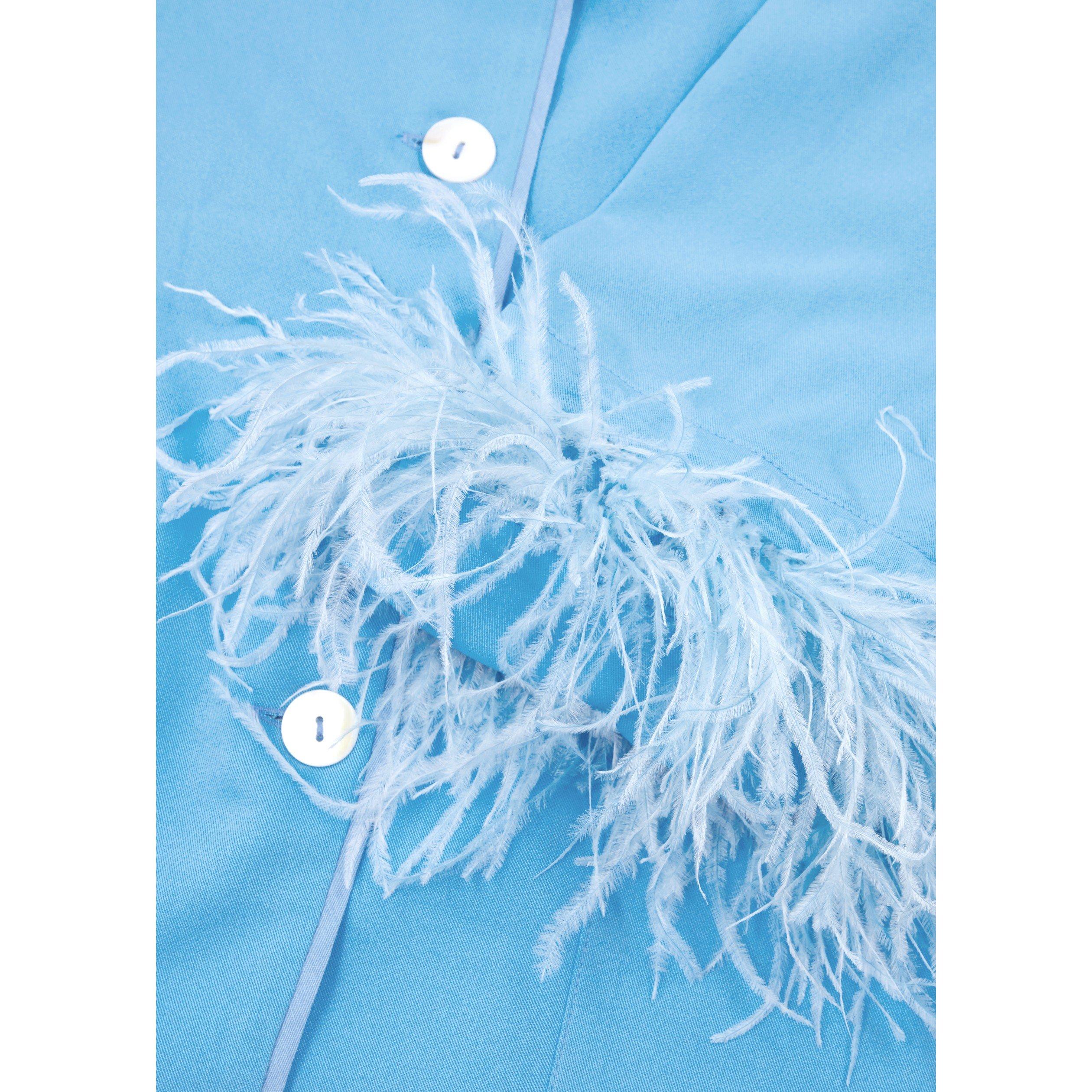BLUE - Sleeper - PJ PARTY DBL FEATHER PJAMA SET - 4
