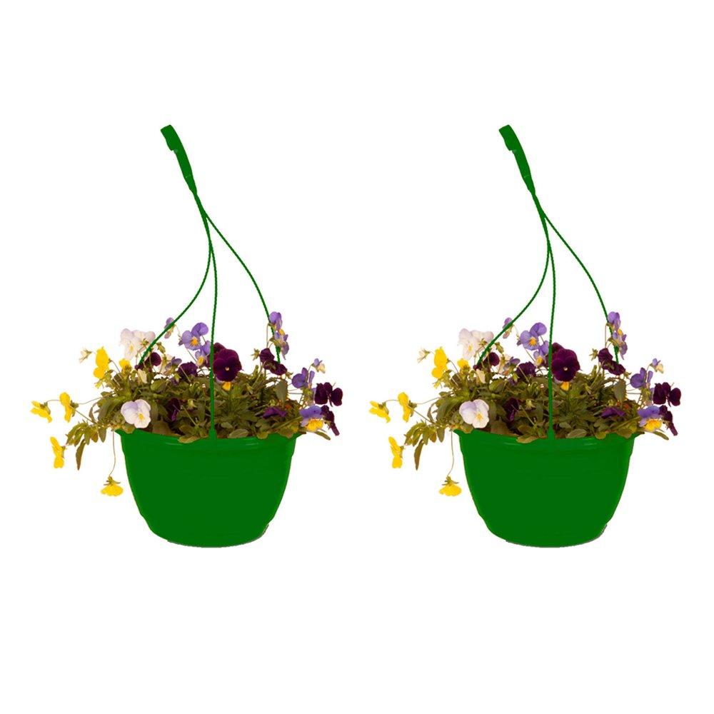 Multi - YouGarden - Pair of Pansy Cool Wave Hanging Baskets (25cm) - 2