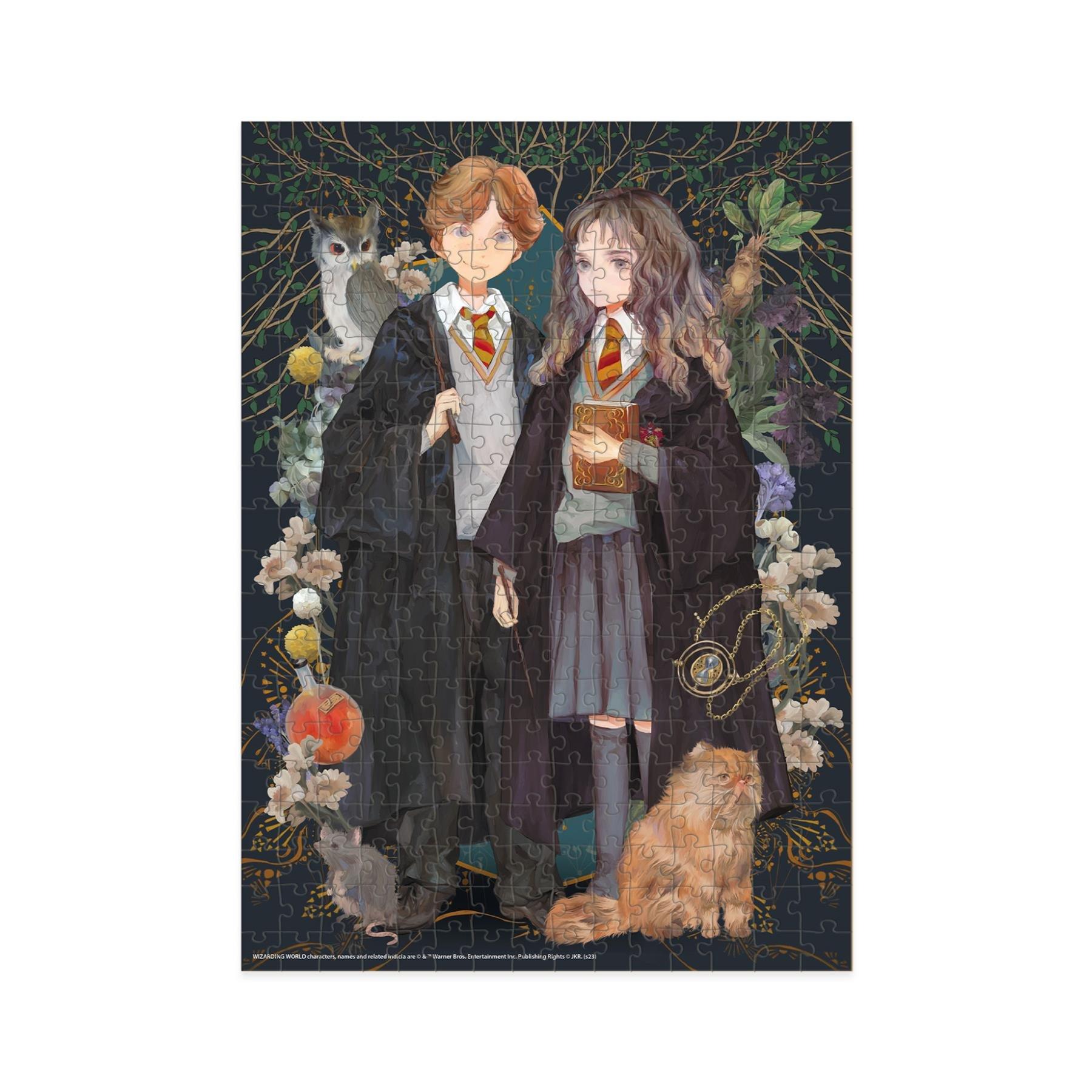 Multi - DODO - Harry Potter Puzzle Hermione and Ronald - Medium - 2