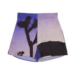 Blue Sky Inn Volcanic Shorts