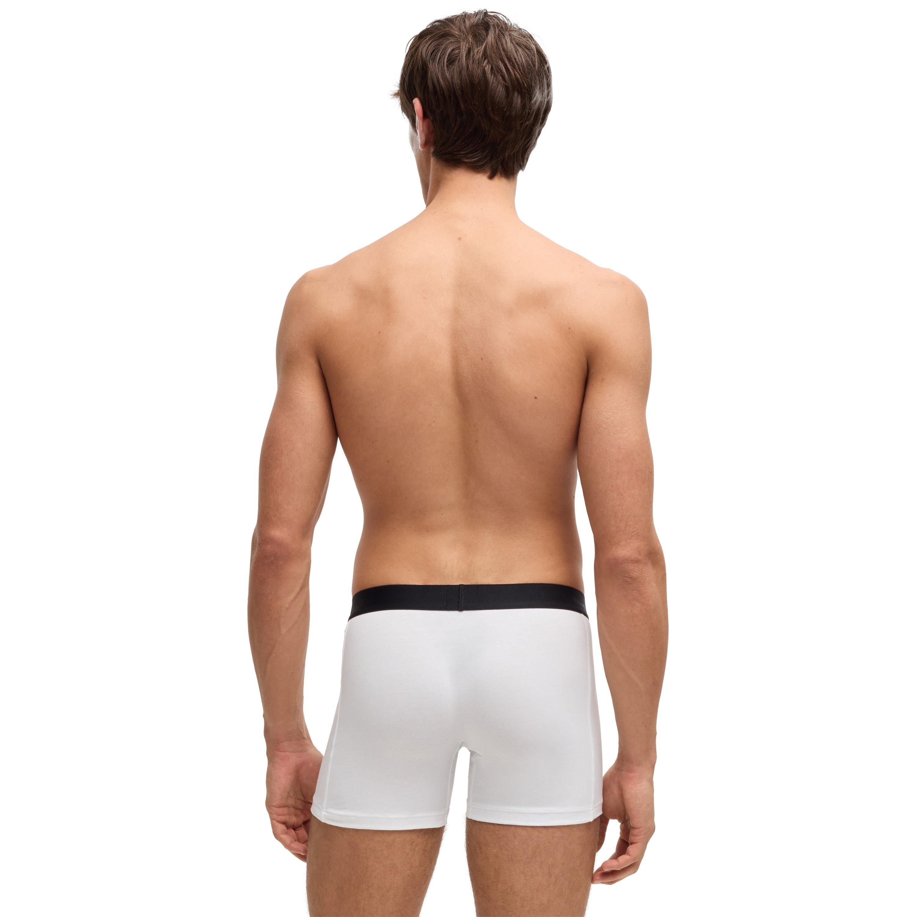 Wit 100 - Boss - Men's Boxer Briefs - 3