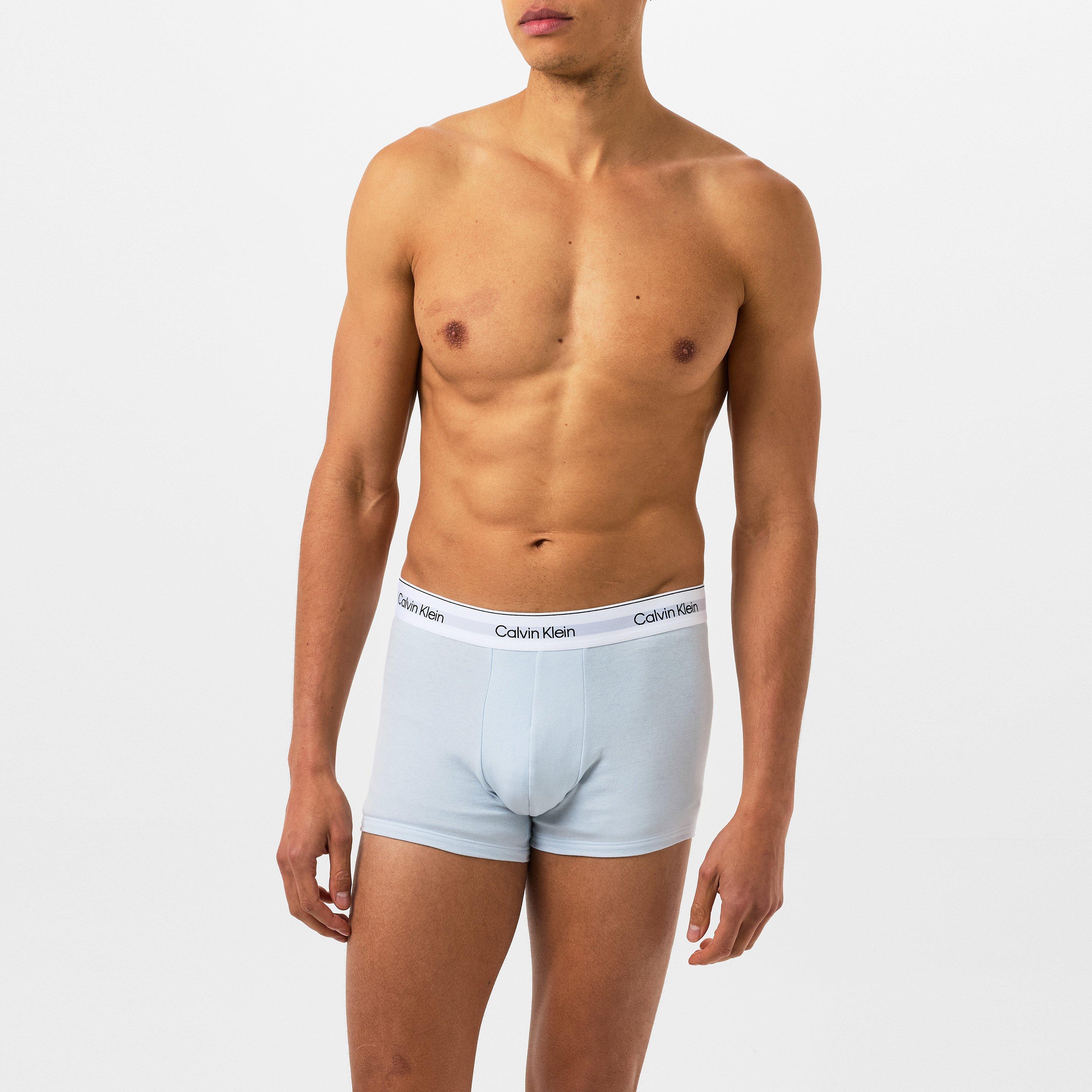 Gry/Wht/NvyPSW - Calvin Klein - 3-Pack Logo Trunks - 4