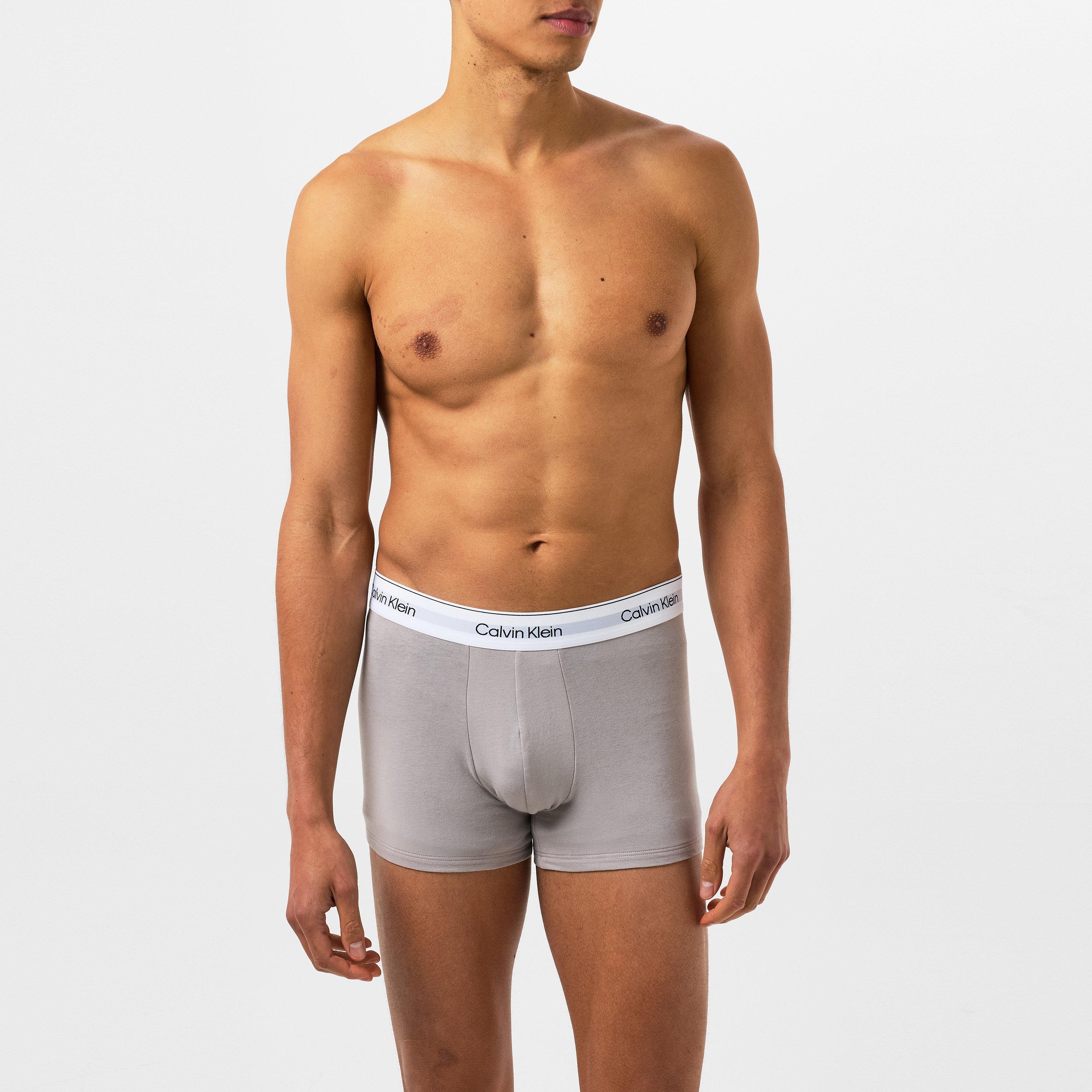 Gry/Wht/NvyPSW - Calvin Klein - 3-Pack Logo Trunks - 5