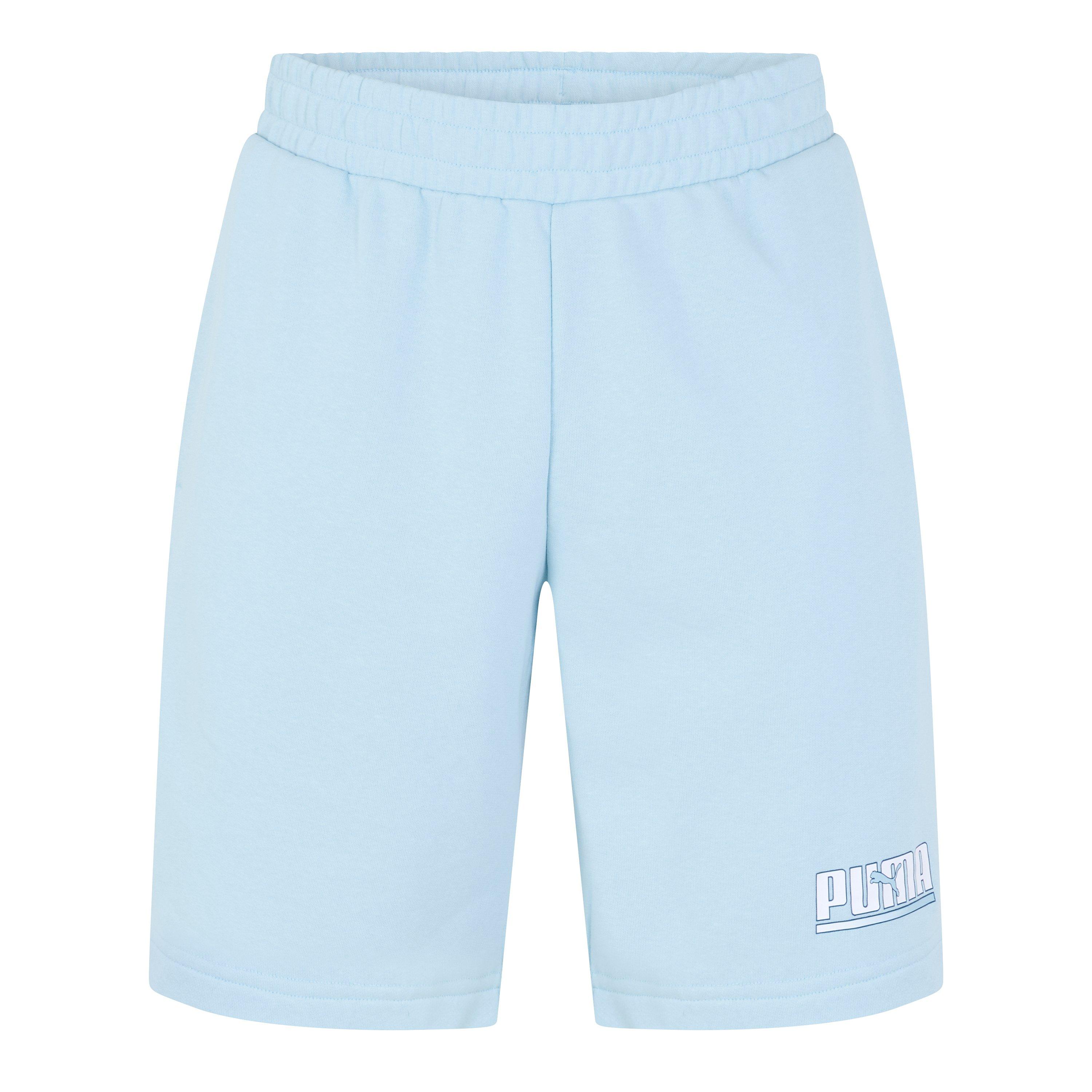 Puma Key Graph Sht 1 Sn99
