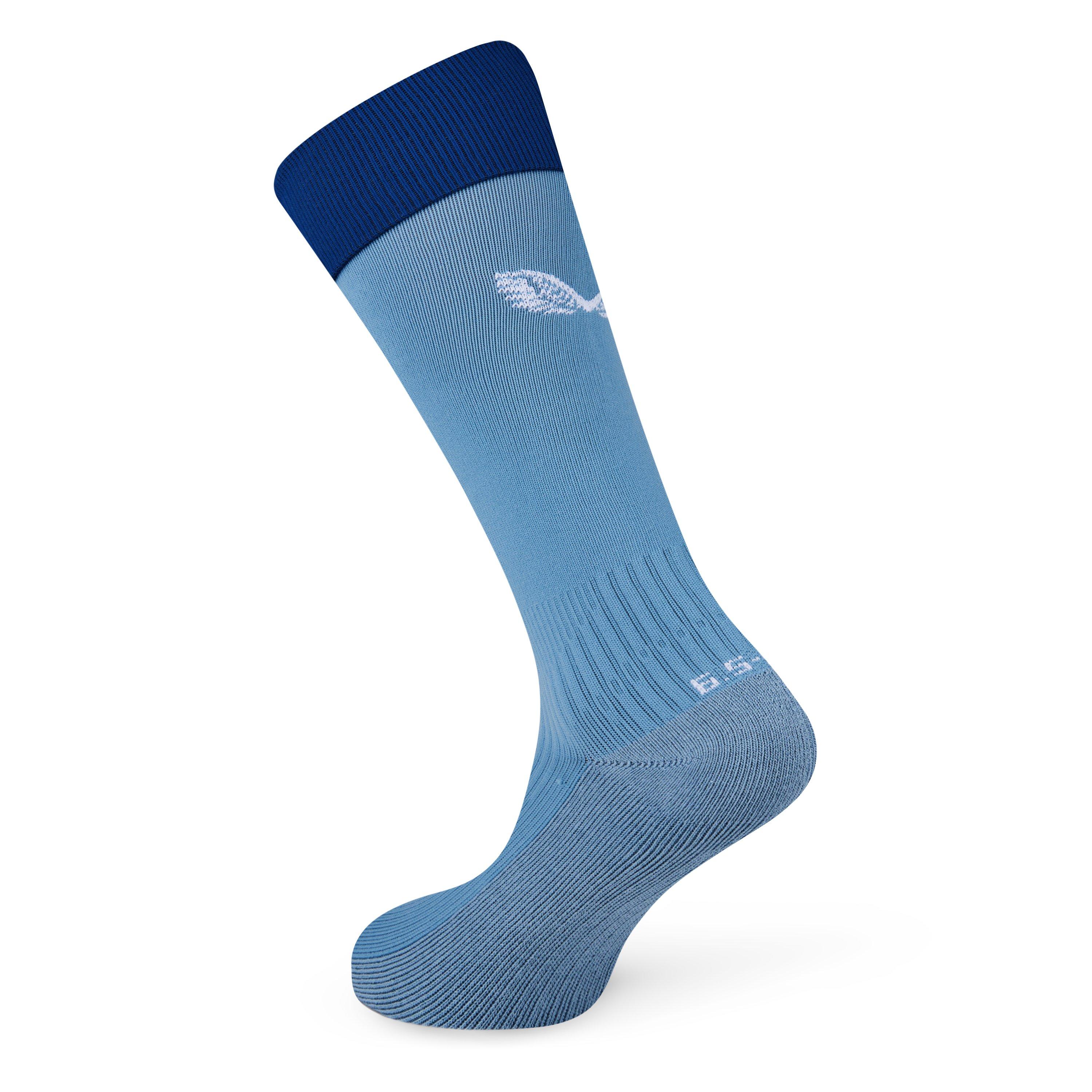 Blauwe Schaduw - Castore - Adults Domestic Replica Football Sock - 2