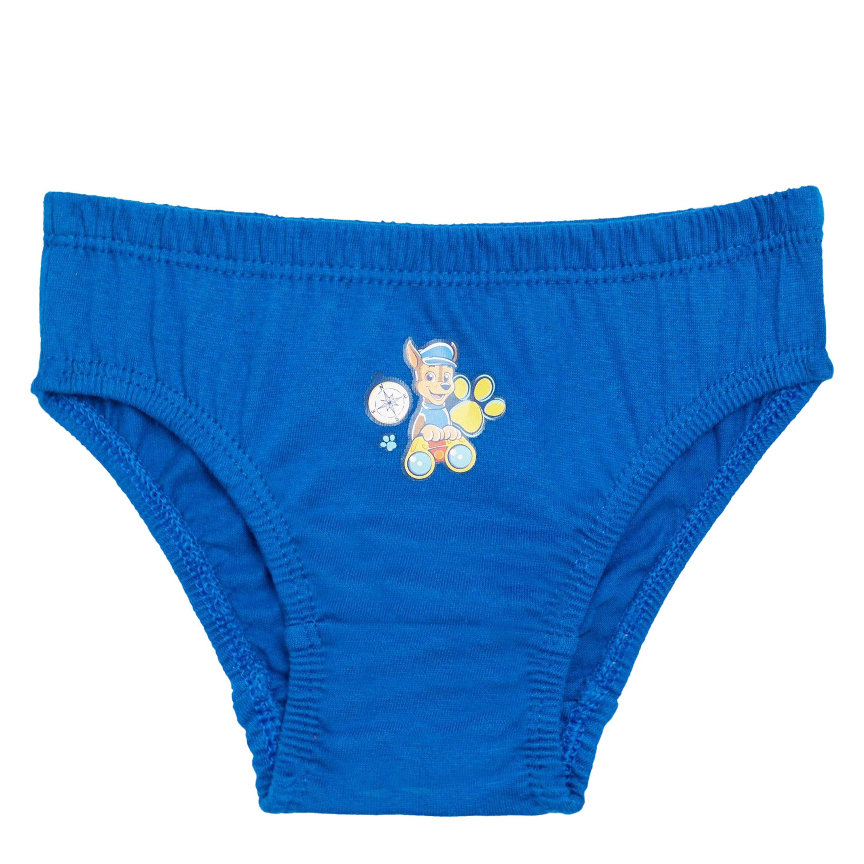 Paw Patrol - Character - Disney Princess 5PK Knickers - 6