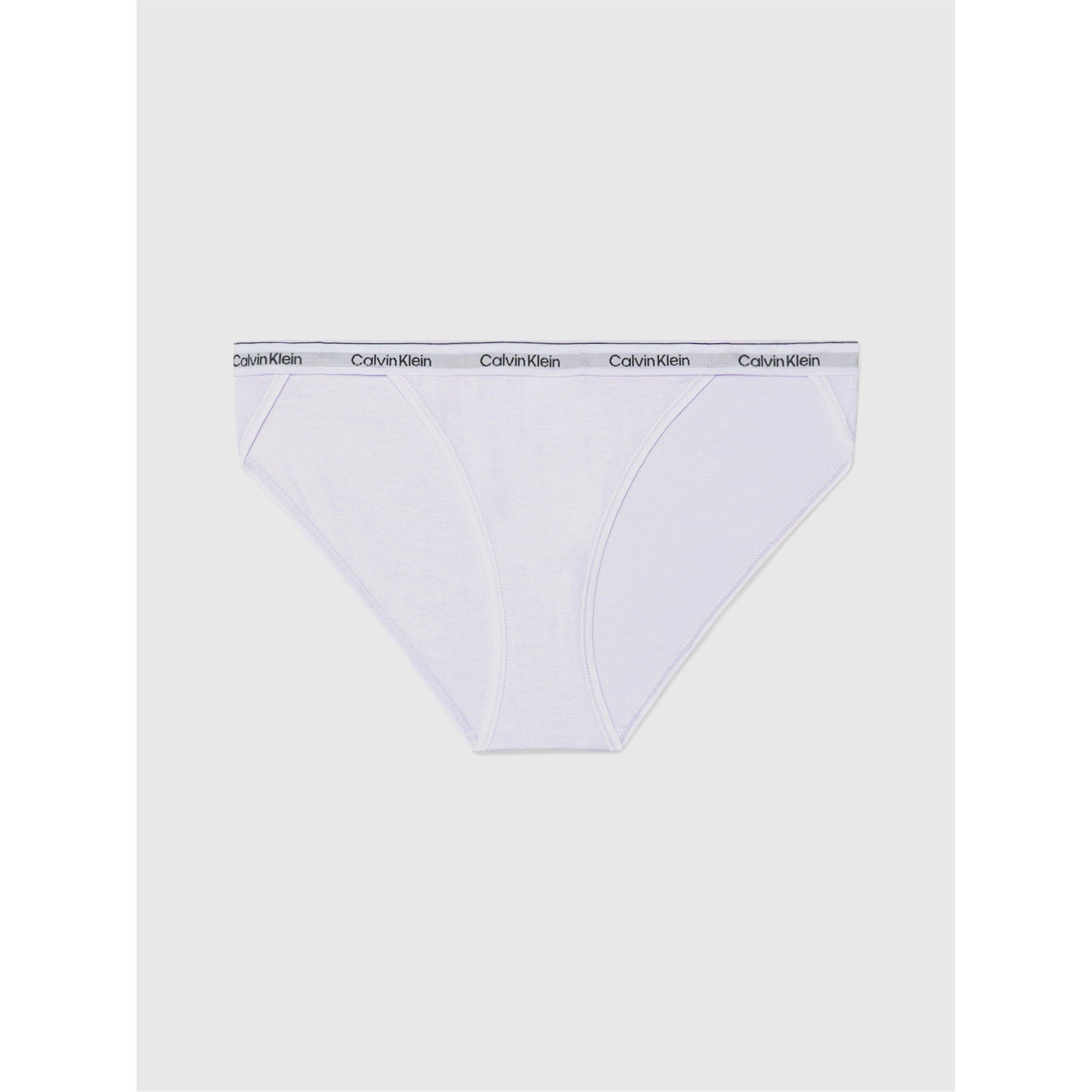 Lavender Blue - Calvin Klein - Women's Briefs - 4