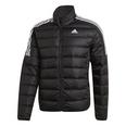 Padded Down homme Jacket Mens