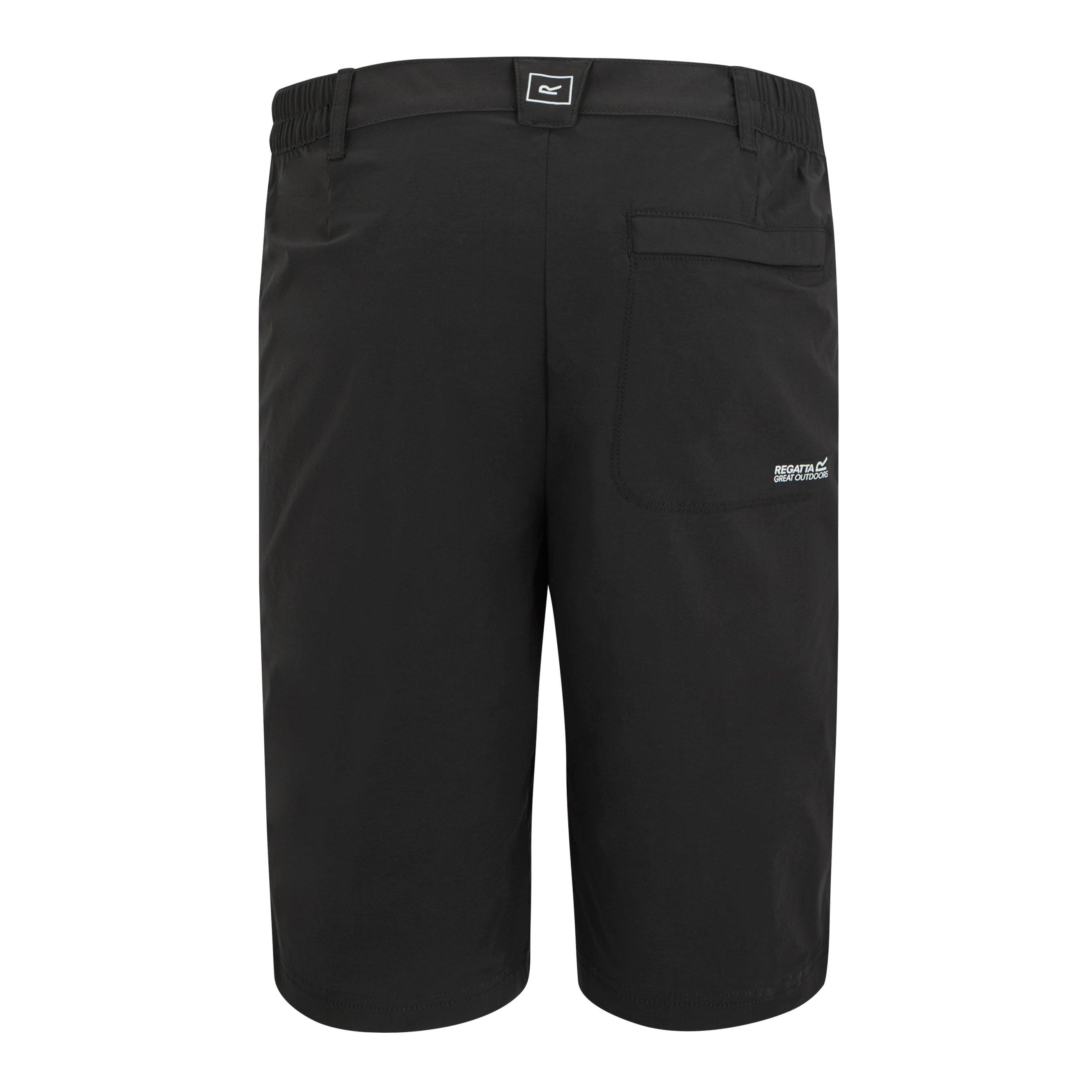 Ash - Regatta - Men's Highton Short Walking Shorts - 6