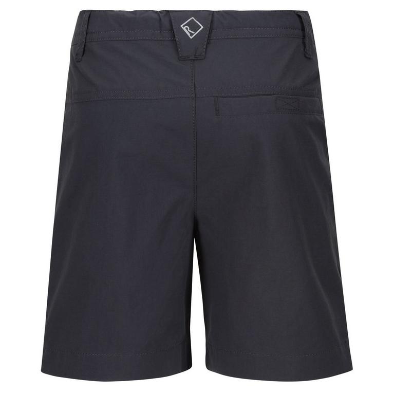 Gris phoque - Regatta - pleat-detail belted knee-length shorts Nero - 2