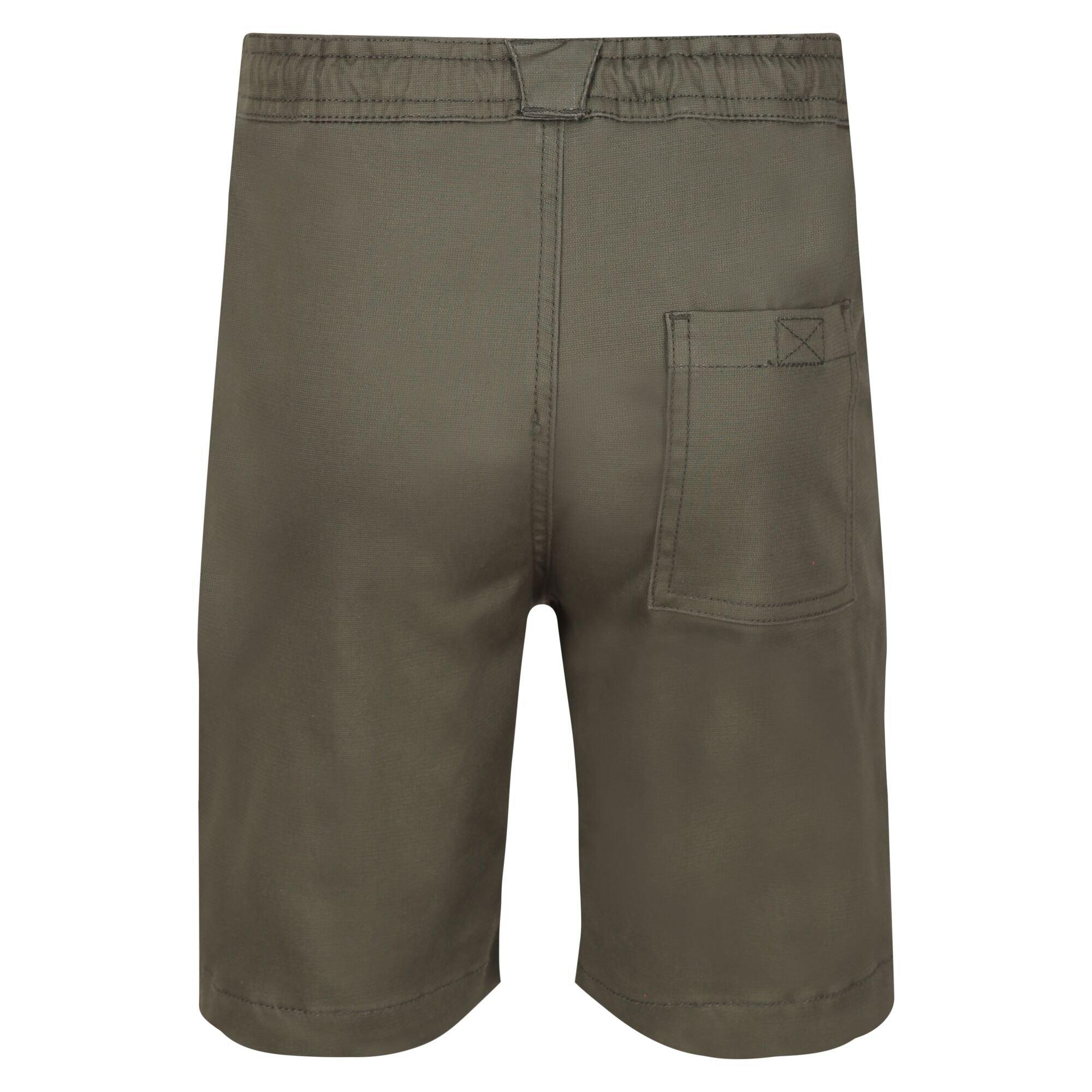 GrpLfOttoman - Regatta - Alber Walking Shorts - 2