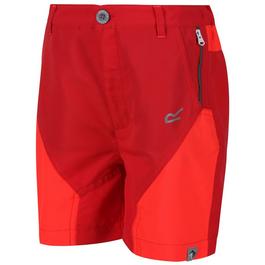 Regatta Regatta Sorcer Mountain Walking Shorts Short Unisex Kids