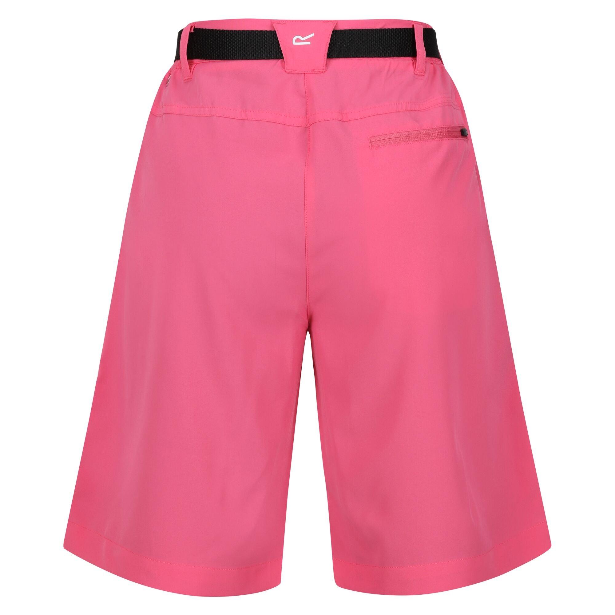 Fruit Dove - Regatta - XertStrBermu Ld99 - 2