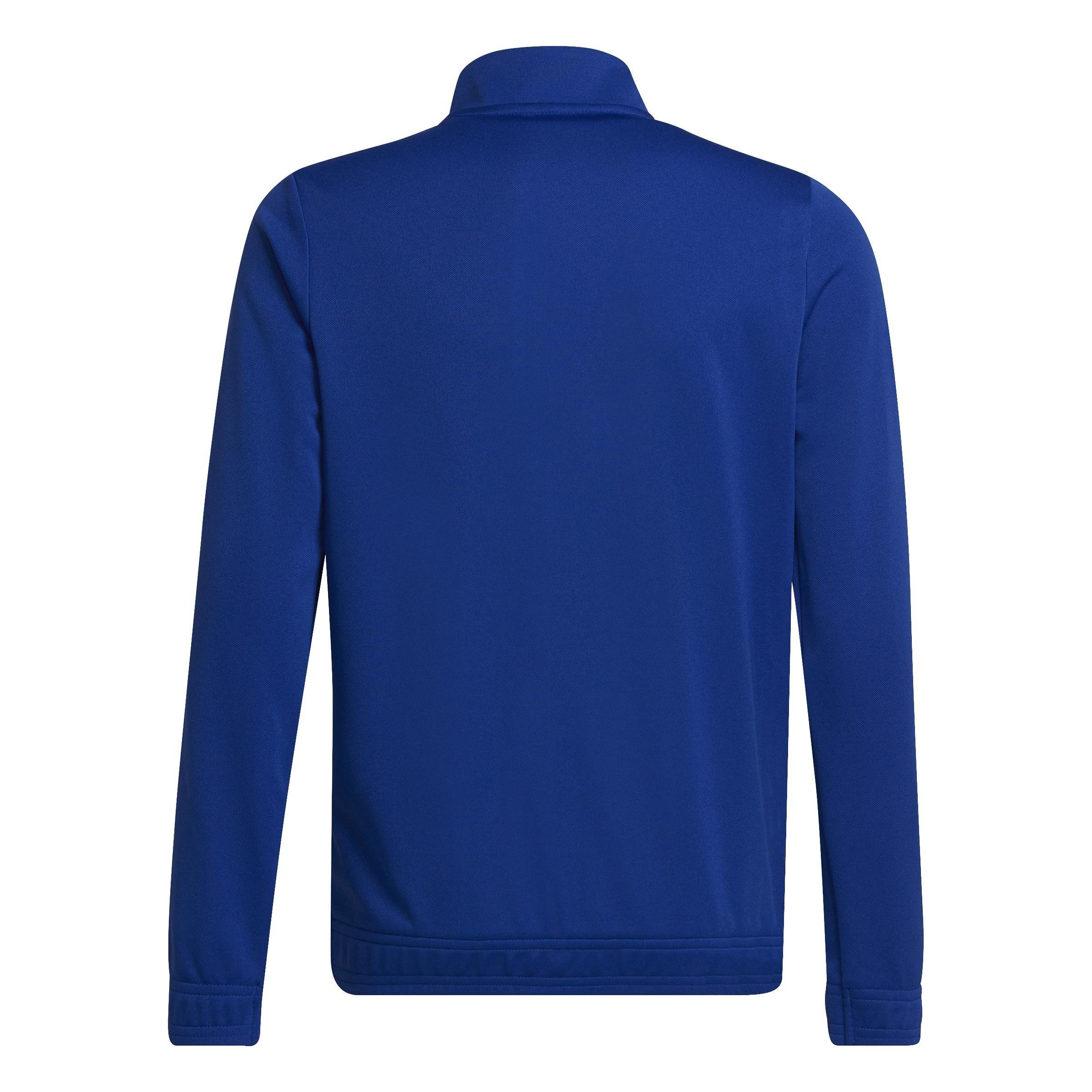 team royal blue - adidas - adidas Ent22 Tk Jkty - 2