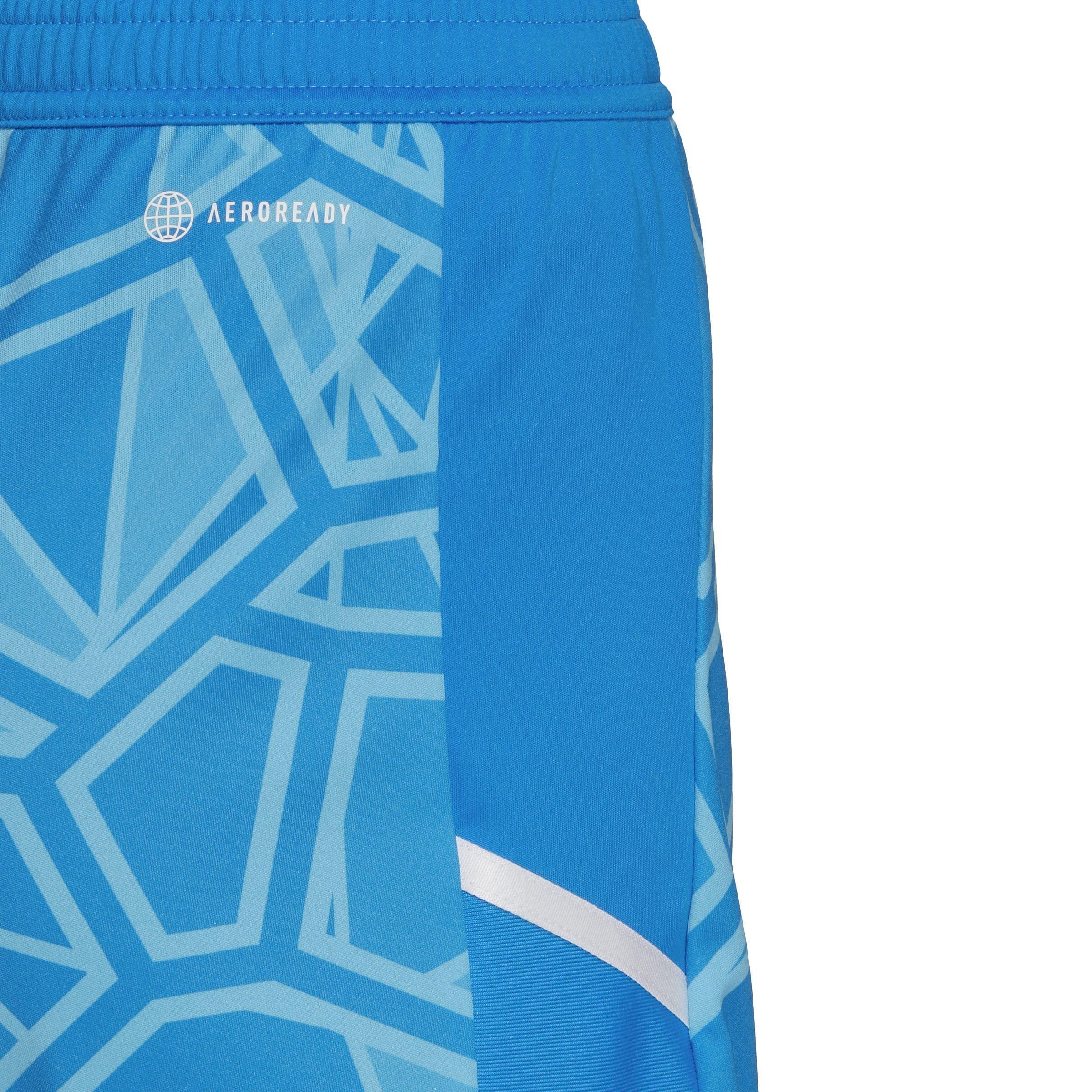 Blau - adidas - Long-Sleeve Goalkeeper Top - 6