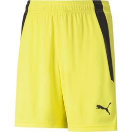 Puma Puma Teamliga Shorts Jr Football Short Unisex Kids