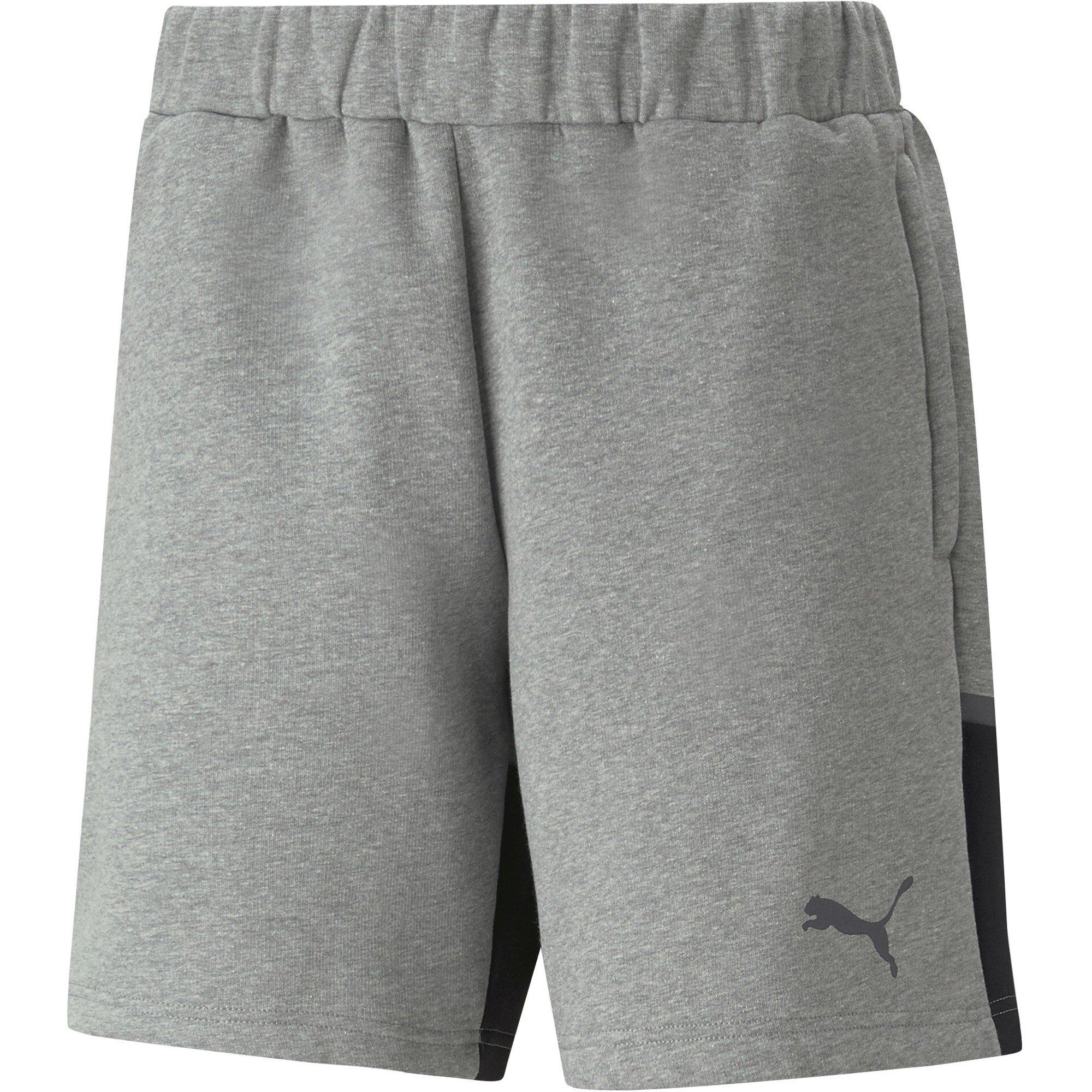 Medium Grijs - Puma - Puma Teamcup Casuals Shorts Football Short Mens - 1