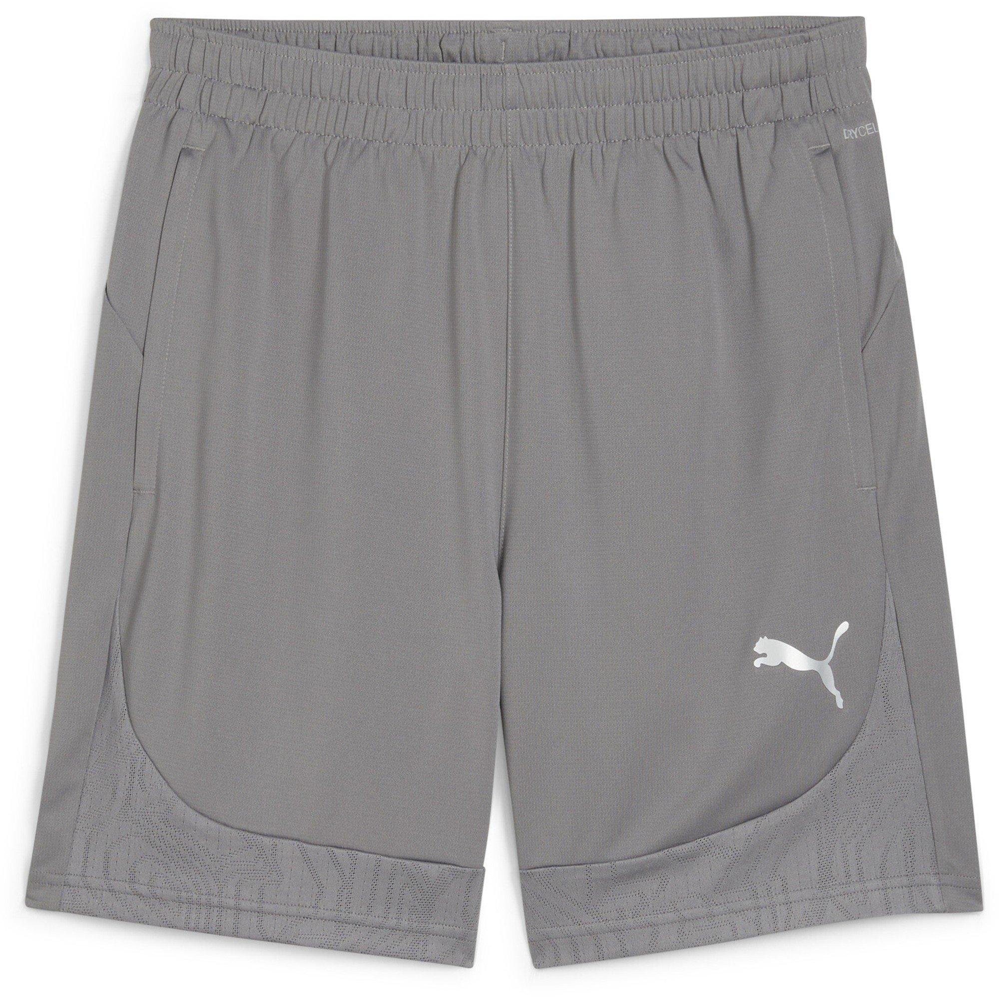 Puma Men's Teamfinal Training Football Shorts - Cast Iron/Silv - 3XL