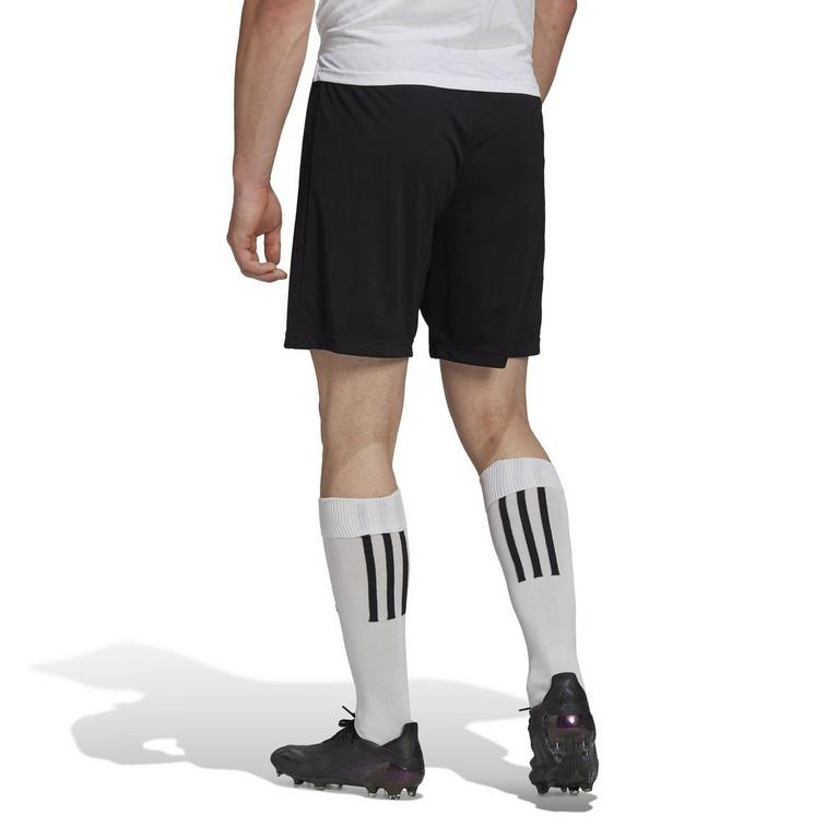 Noir - adidas - Entrada 22 Shorts Mens - 5