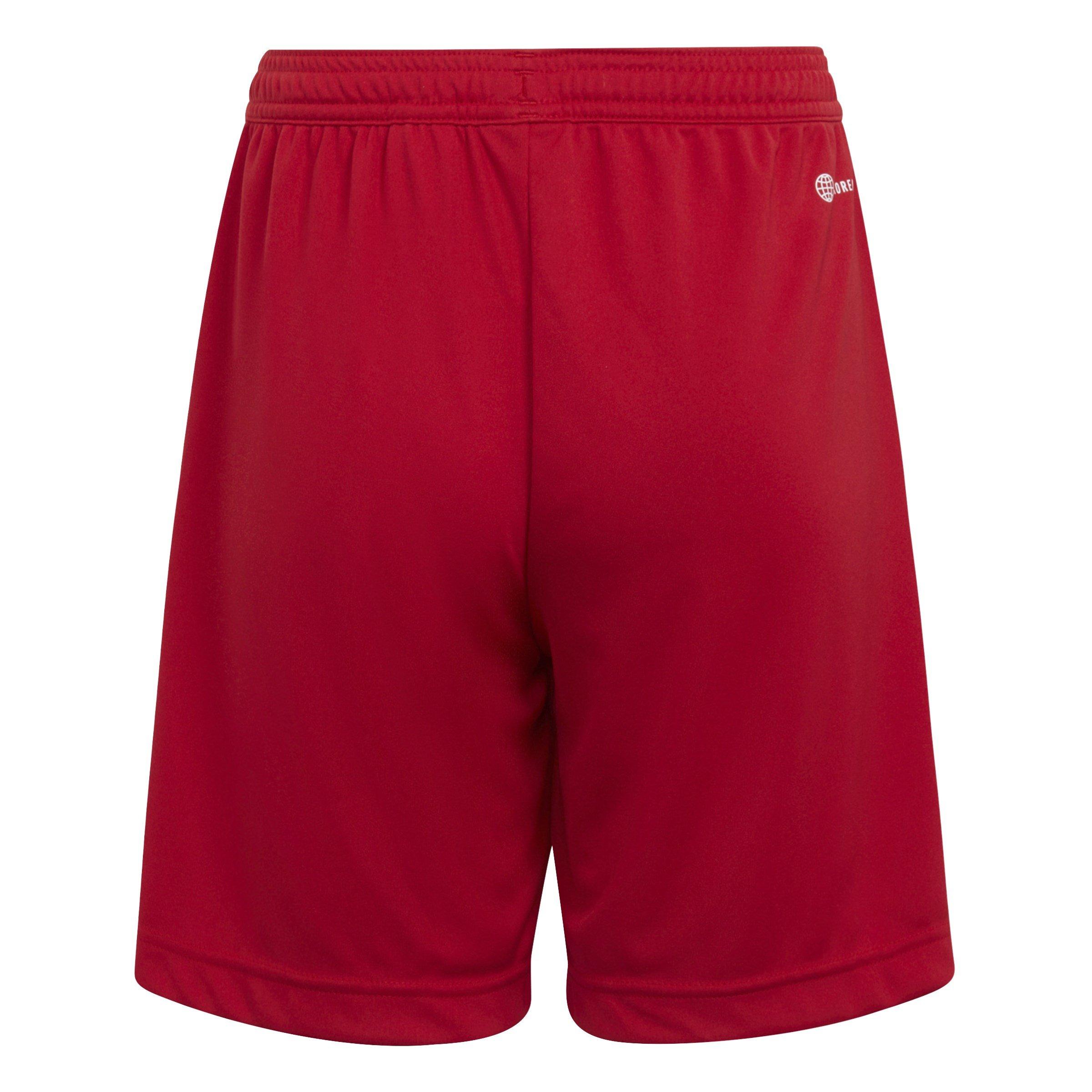 Rood - adidas - ENT22 Shorts Juniors - 2