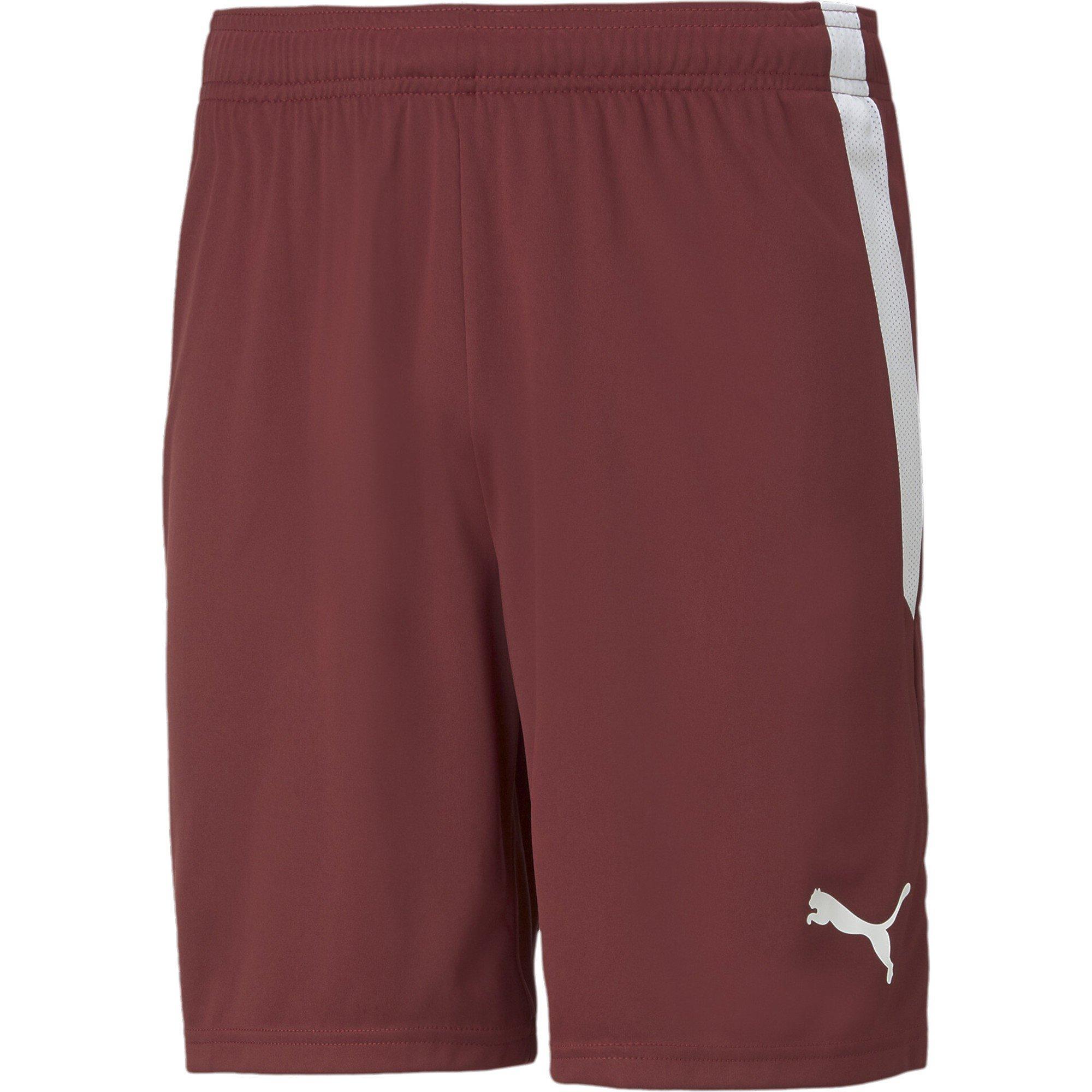 Puma Men's Teamliga Shorts Football Short - Cordovan/White - 3XL