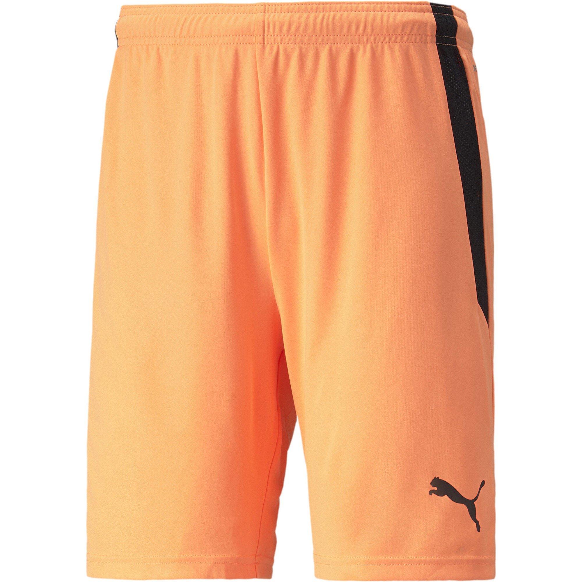 Puma Teamliga Shorts Football Short Mens