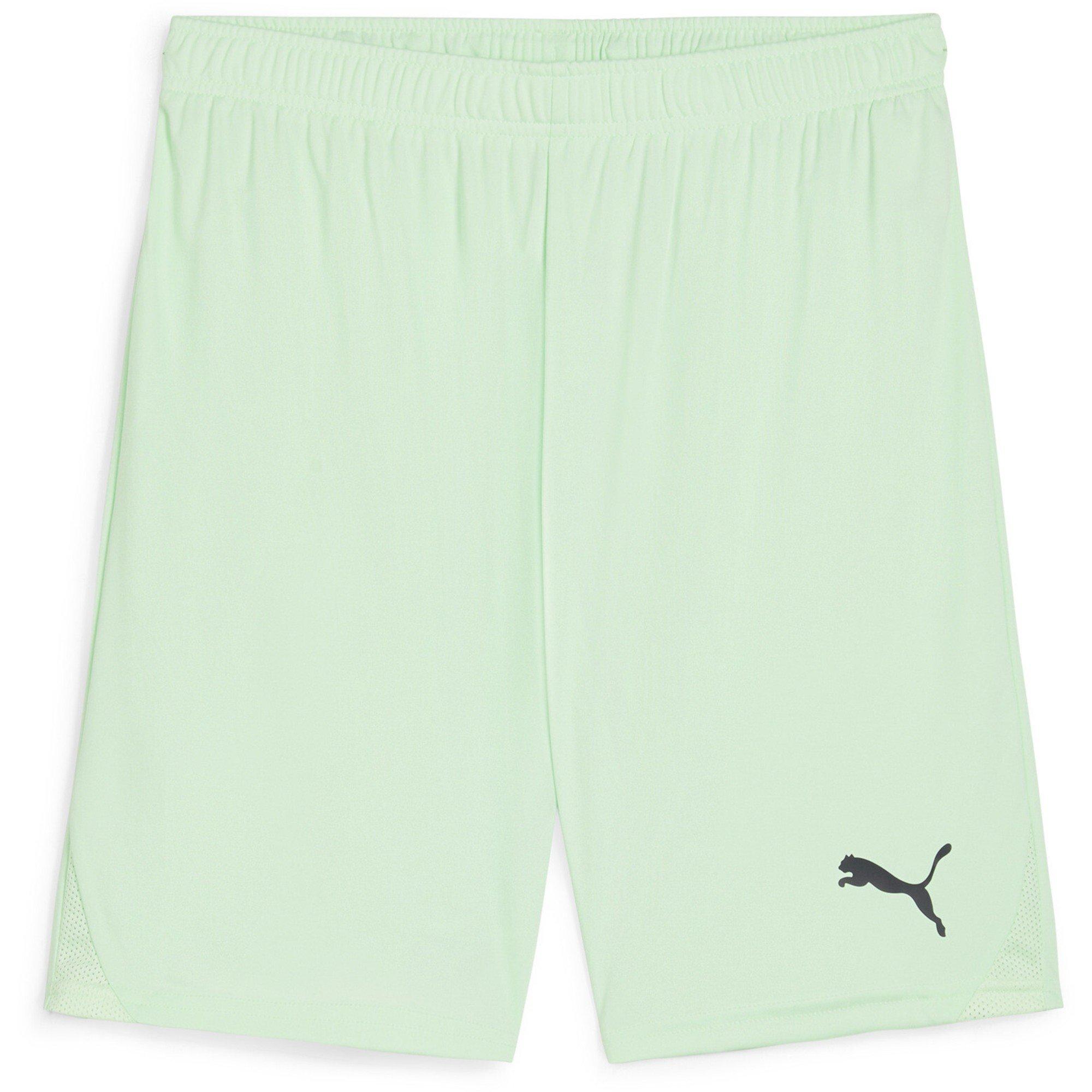 Puma Men's Teamgoal Shorts Football Short - Fresh Mint/Blk - L