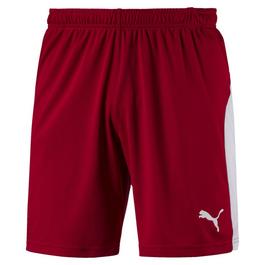 Puma Liga Shorts