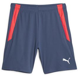 Puma Training Shorts 2 (open poc